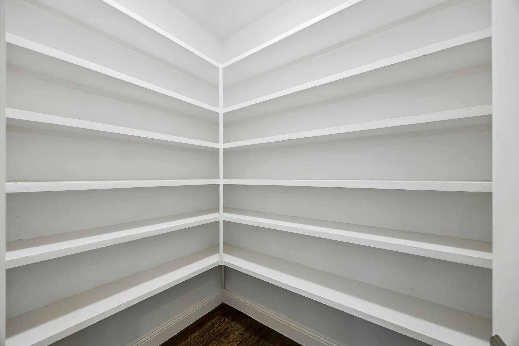 Walk in kitchen pantry.