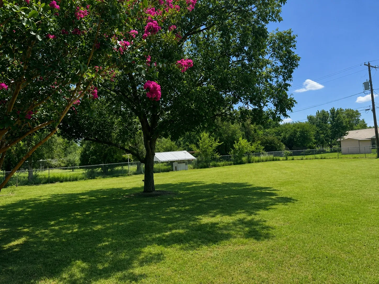 Large back yard!