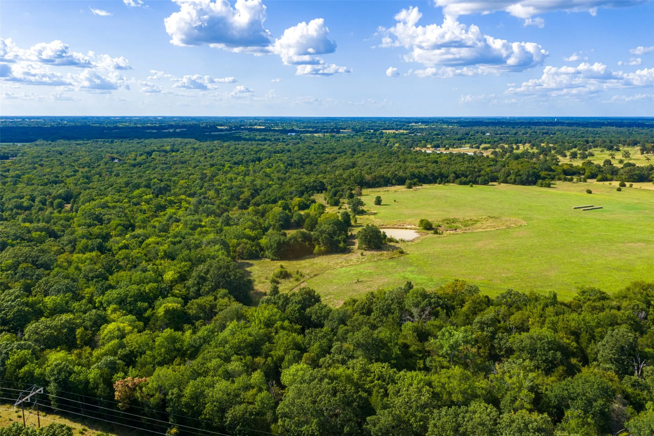 Unimproved Land For Sale in Van Zandt County , 10446 Fm 859, Edgewood, Texas 75117, 0, 0, Garage spaces, 0 Sqft, built in 0, Price $935,000, mls#21358253, Real Estate Agent in Edgewood, Homes For Sale in Van Zandt county, Homes For Sale in Edgewood, Realtor in Edgewood Texas, Real Estate Brokerage Independent Realty Texas, Luminita Cordes Realtor