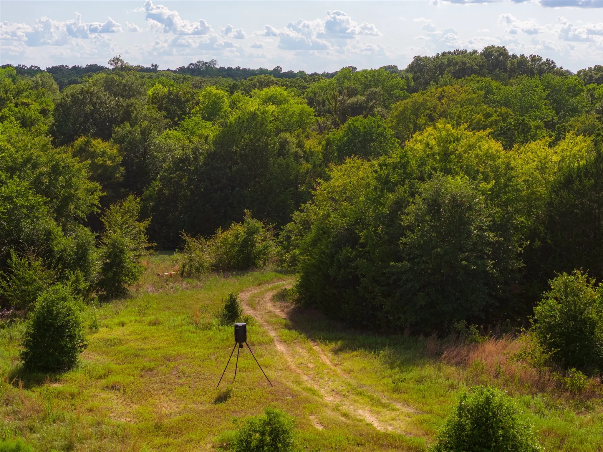 Unimproved Land For Sale in Van Zandt County , 10446 Fm 859, Edgewood, Texas 75117, 0, 0, Garage spaces, 0 Sqft, built in 0, Price $935,000, mls#21358253, Real Estate Agent in Edgewood, Homes For Sale in Van Zandt county, Homes For Sale in Edgewood, Realtor in Edgewood Texas, Real Estate Brokerage Independent Realty Texas, Luminita Cordes Realtor