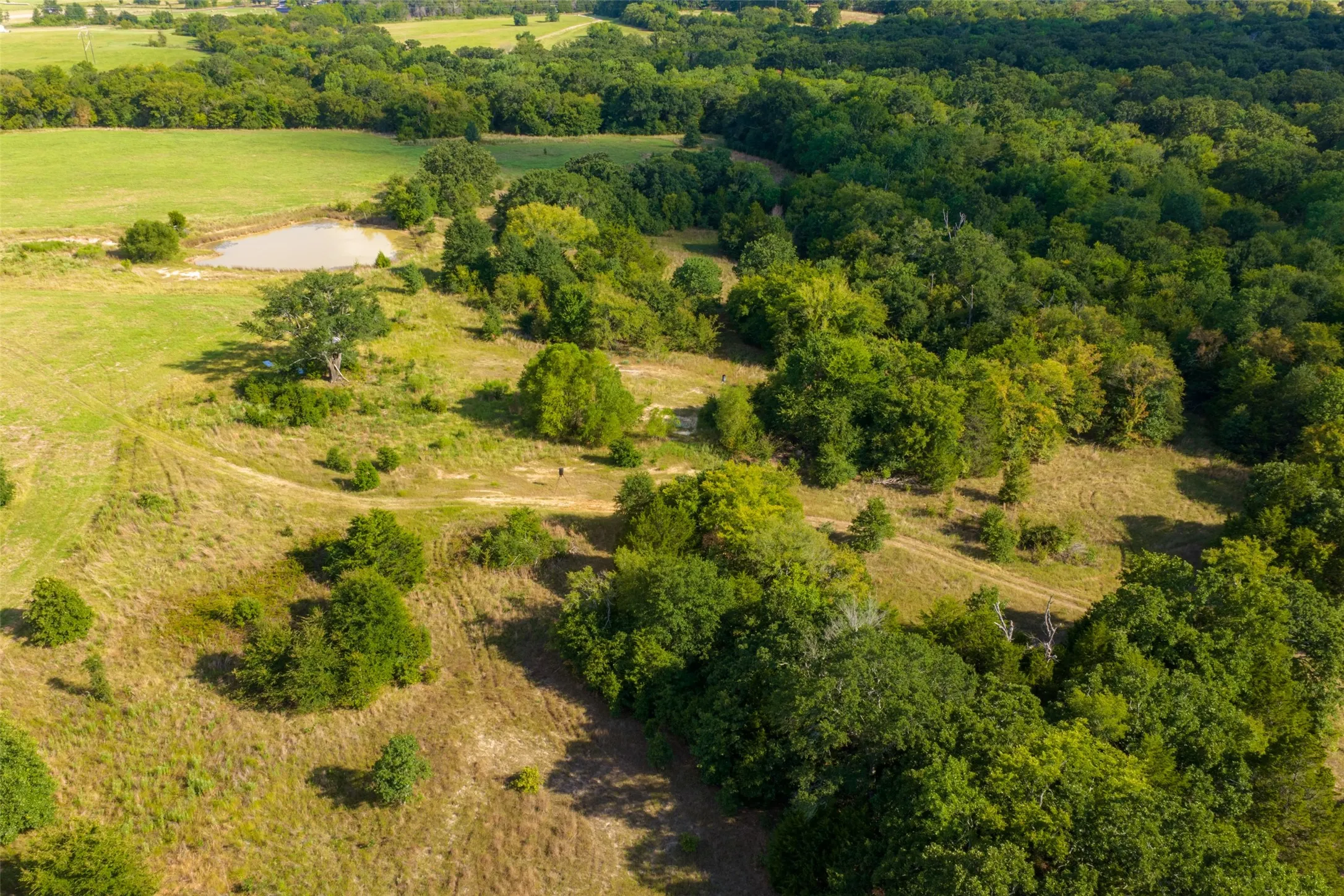 Unimproved Land For Sale in Van Zandt County , 10446 Fm 859, Edgewood, Texas 75117, 0, 0, Garage spaces, 0 Sqft, built in 0, Price $935,000, mls#21358253, Real Estate Agent in Edgewood, Homes For Sale in Van Zandt county, Homes For Sale in Edgewood, Realtor in Edgewood Texas, Real Estate Brokerage Independent Realty Texas, Luminita Cordes Realtor
