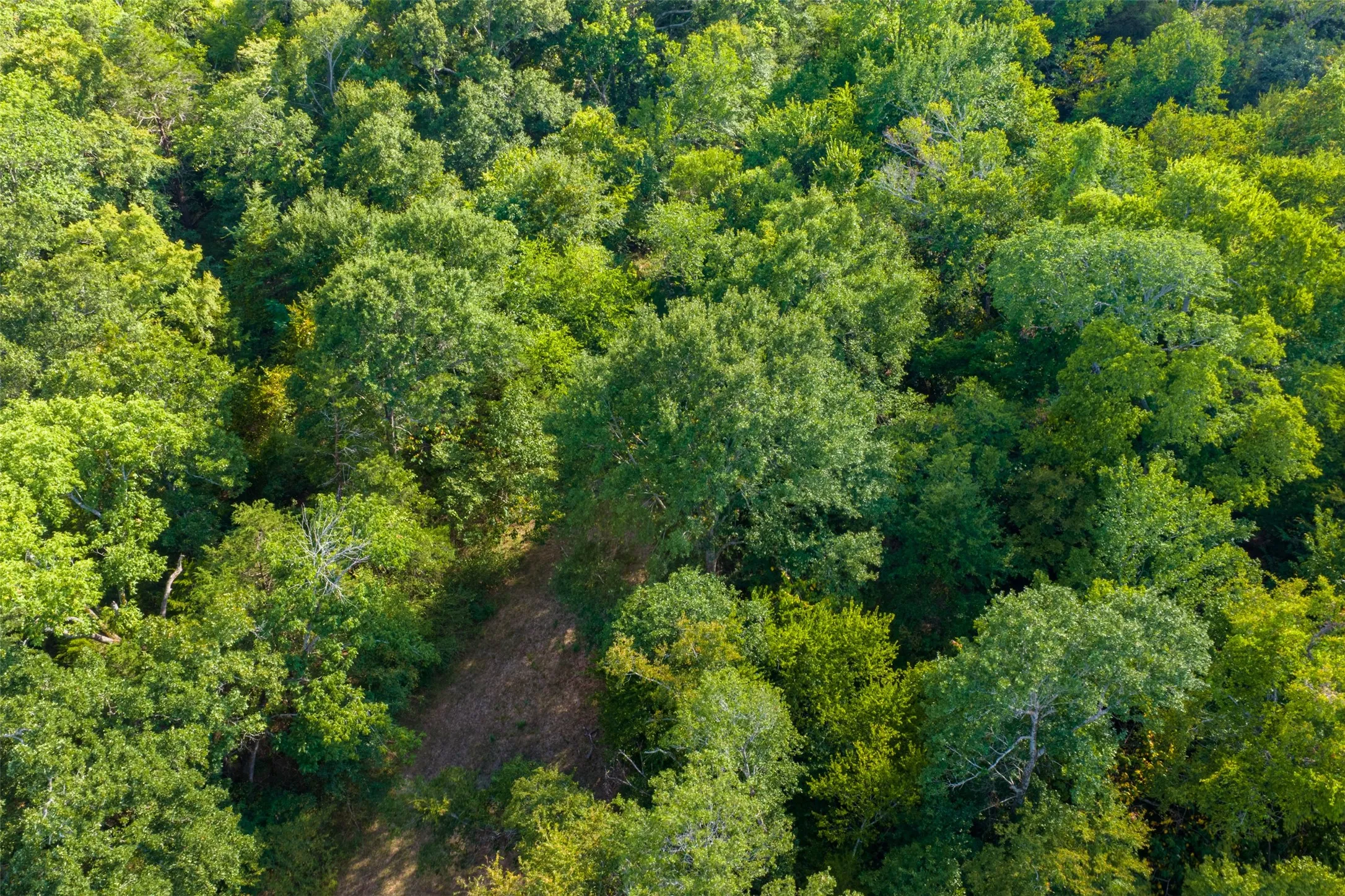 Unimproved Land For Sale in Van Zandt County , 10446 Fm 859, Edgewood, Texas 75117, 0, 0, Garage spaces, 0 Sqft, built in 0, Price $935,000, mls#21358253, Real Estate Agent in Edgewood, Homes For Sale in Van Zandt county, Homes For Sale in Edgewood, Realtor in Edgewood Texas, Real Estate Brokerage Independent Realty Texas, Luminita Cordes Realtor