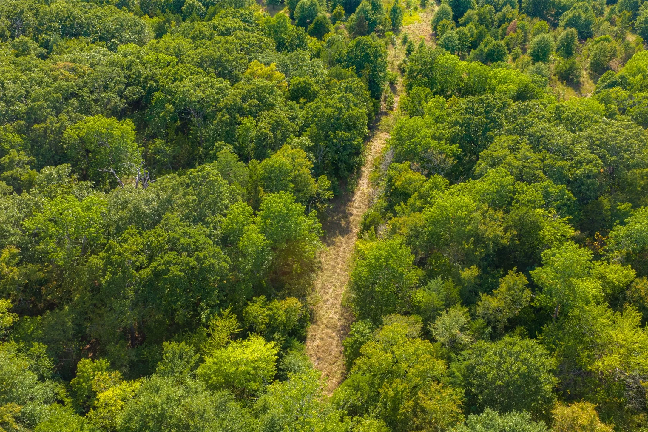Unimproved Land For Sale in Van Zandt County , 10446 Fm 859, Edgewood, Texas 75117, 0, 0, Garage spaces, 0 Sqft, built in 0, Price $935,000, mls#21358253, Real Estate Agent in Edgewood, Homes For Sale in Van Zandt county, Homes For Sale in Edgewood, Realtor in Edgewood Texas, Real Estate Brokerage Independent Realty Texas, Luminita Cordes Realtor