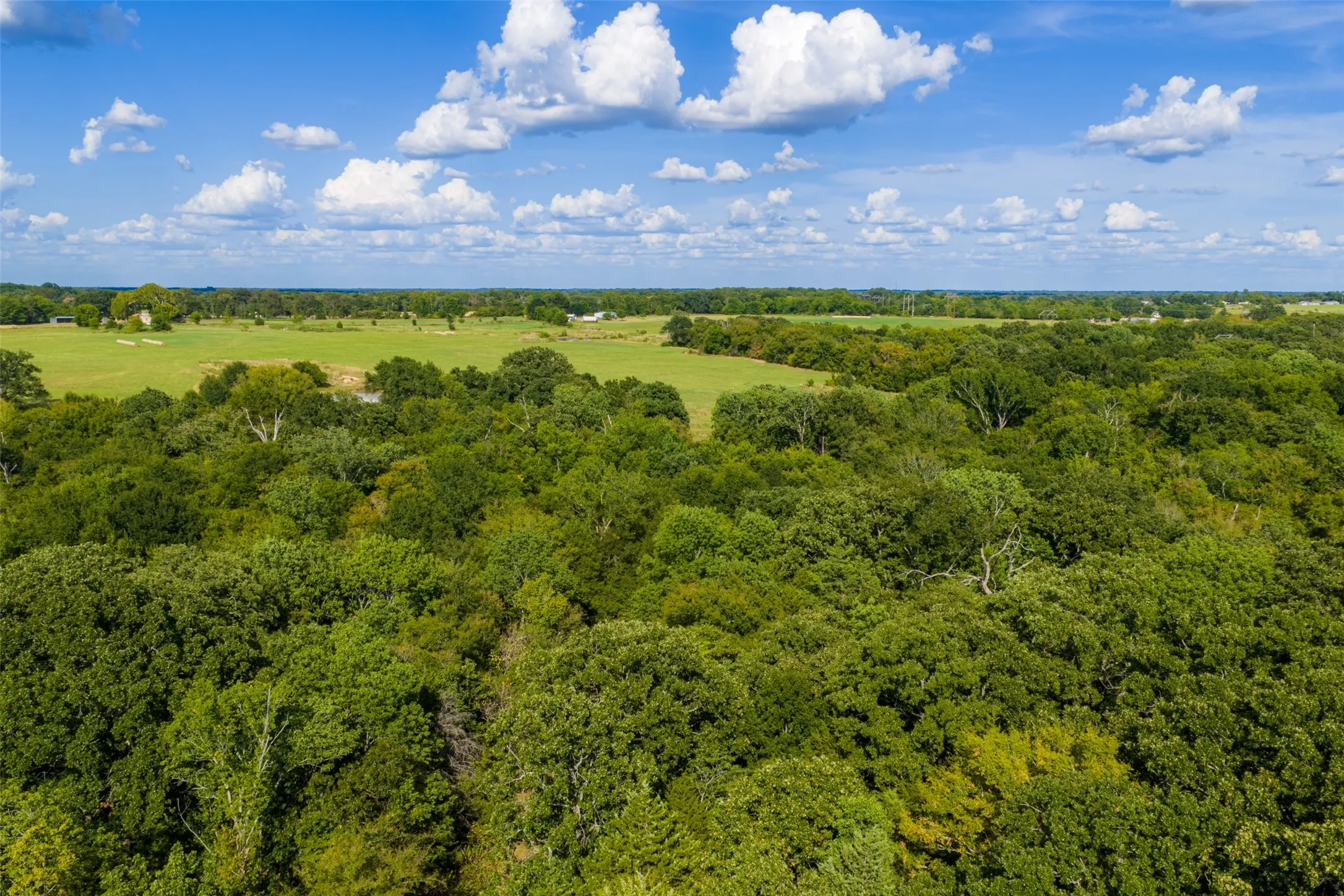 Unimproved Land For Sale in Van Zandt County , 10446 Fm 859, Edgewood, Texas 75117, 0, 0, Garage spaces, 0 Sqft, built in 0, Price $935,000, mls#21358253, Real Estate Agent in Edgewood, Homes For Sale in Van Zandt county, Homes For Sale in Edgewood, Realtor in Edgewood Texas, Real Estate Brokerage Independent Realty Texas, Luminita Cordes Realtor