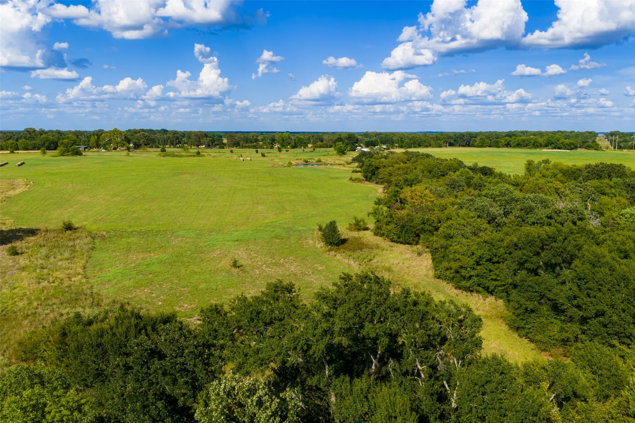 Unimproved Land For Sale in Van Zandt County , 10446 Fm 859, Edgewood, Texas 75117, 0, 0, Garage spaces, 0 Sqft, built in 0, Price $935,000, mls#21358253, Real Estate Agent in Edgewood, Homes For Sale in Van Zandt county, Homes For Sale in Edgewood, Realtor in Edgewood Texas, Real Estate Brokerage Independent Realty Texas, Luminita Cordes Realtor