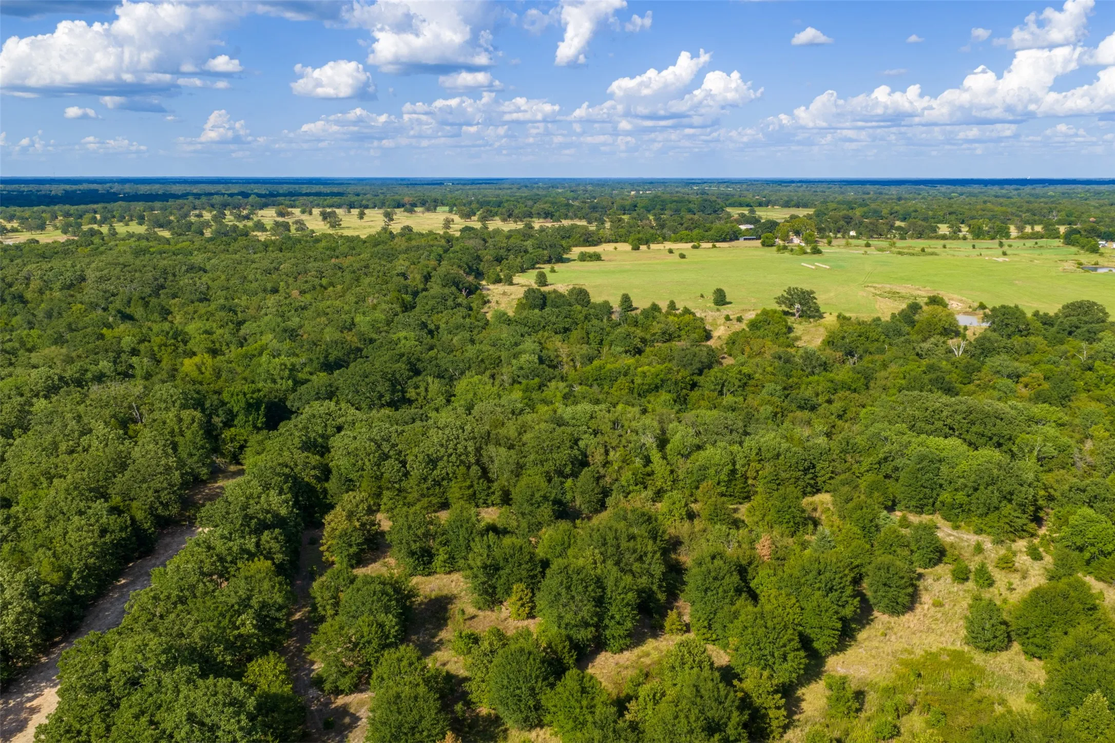 Unimproved Land For Sale in Van Zandt County , 10446 Fm 859, Edgewood, Texas 75117, 0, 0, Garage spaces, 0 Sqft, built in 0, Price $935,000, mls#21358253, Real Estate Agent in Edgewood, Homes For Sale in Van Zandt county, Homes For Sale in Edgewood, Realtor in Edgewood Texas, Real Estate Brokerage Independent Realty Texas, Luminita Cordes Realtor