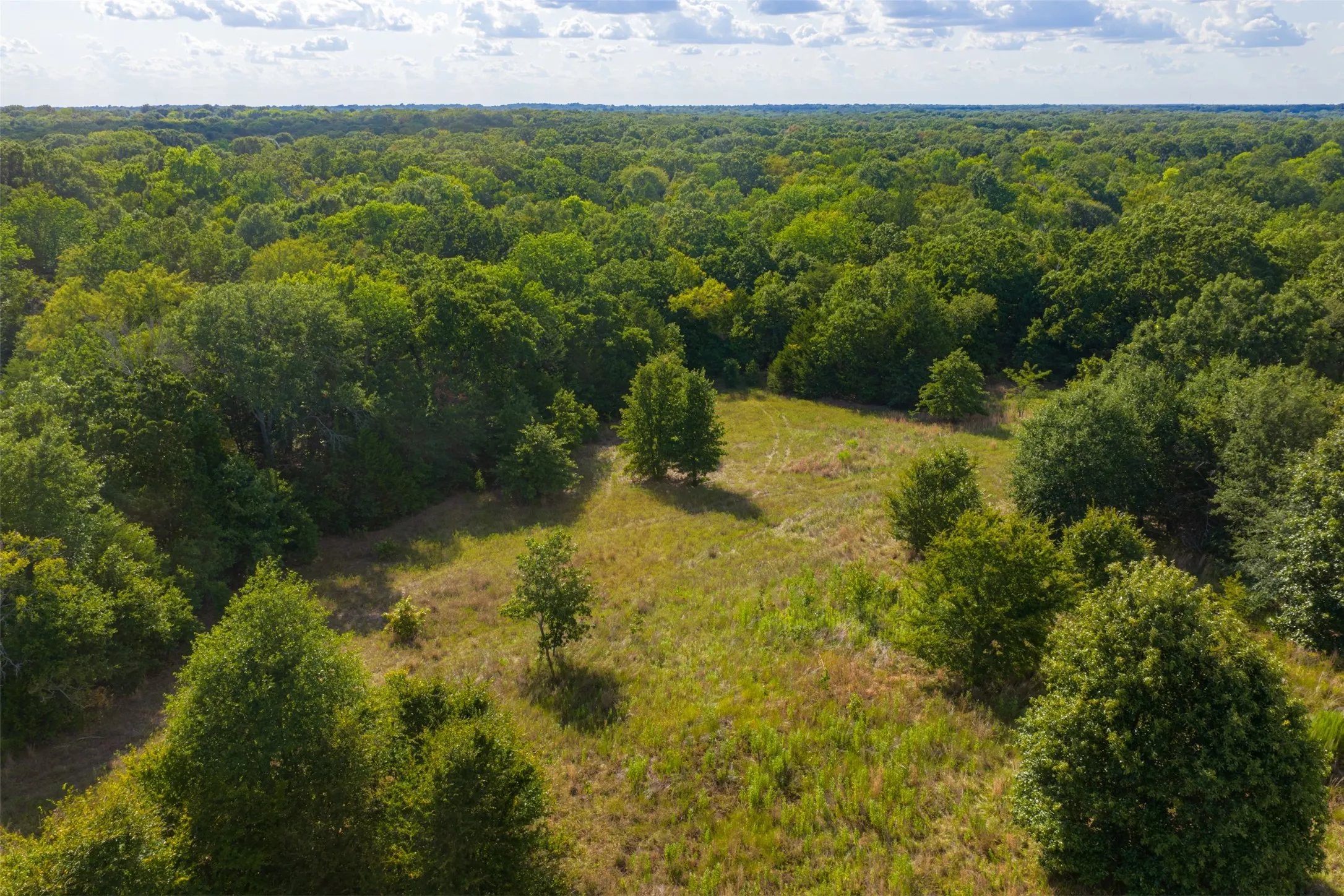 Unimproved Land For Sale in Van Zandt County , 10446 Fm 859, Edgewood, Texas 75117, 0, 0, Garage spaces, 0 Sqft, built in 0, Price $935,000, mls#21358253, Real Estate Agent in Edgewood, Homes For Sale in Van Zandt county, Homes For Sale in Edgewood, Realtor in Edgewood Texas, Real Estate Brokerage Independent Realty Texas, Luminita Cordes Realtor