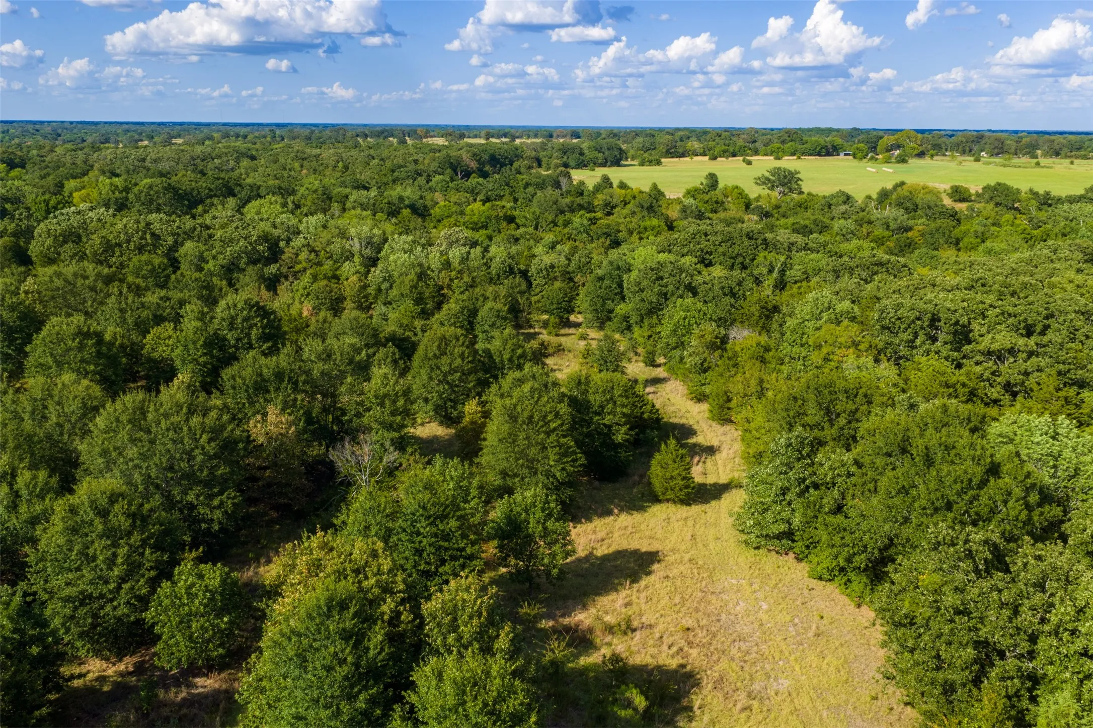 Unimproved Land For Sale in Van Zandt County , 10446 Fm 859, Edgewood, Texas 75117, 0, 0, Garage spaces, 0 Sqft, built in 0, Price $935,000, mls#21358253, Real Estate Agent in Edgewood, Homes For Sale in Van Zandt county, Homes For Sale in Edgewood, Realtor in Edgewood Texas, Real Estate Brokerage Independent Realty Texas, Luminita Cordes Realtor
