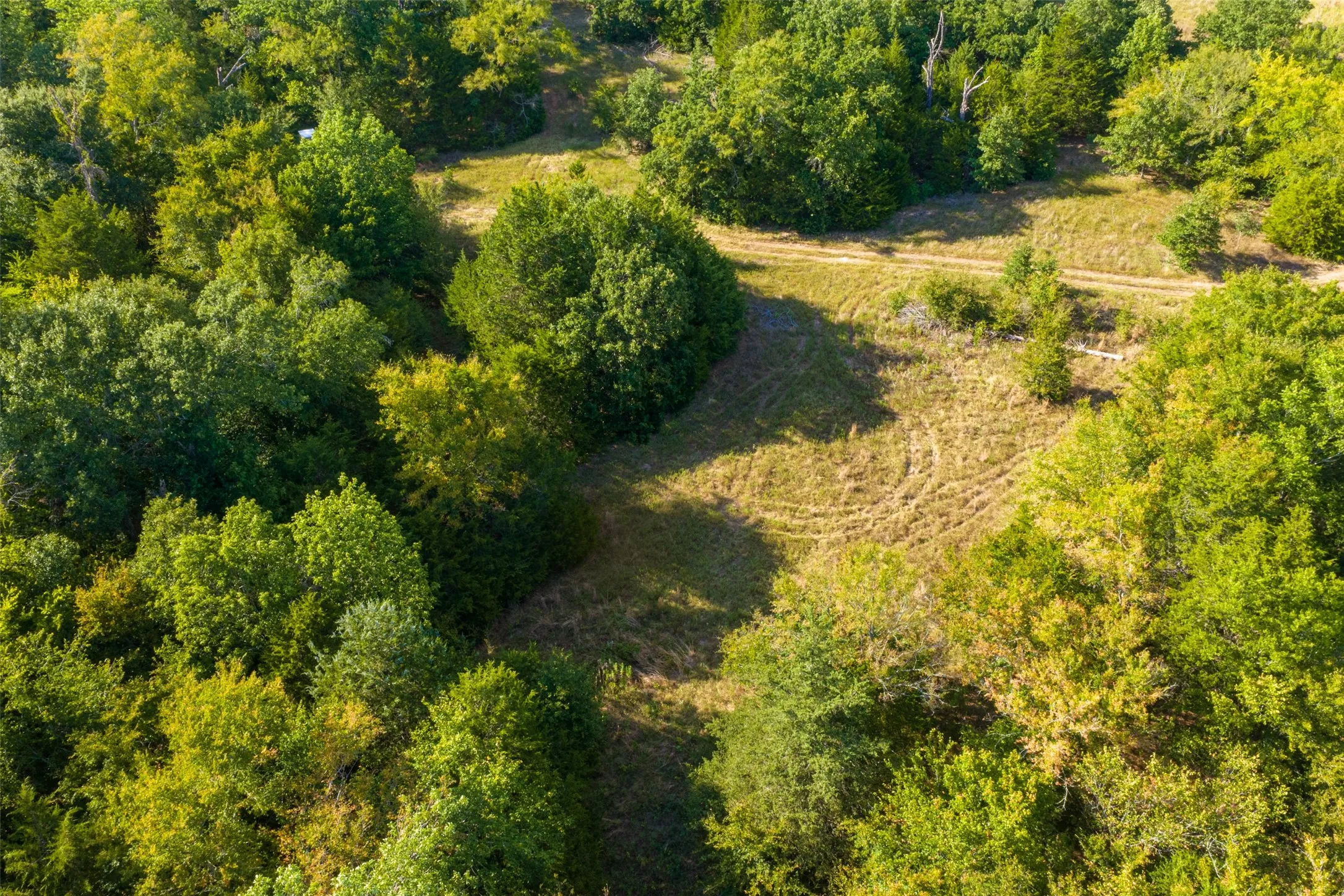 Unimproved Land For Sale in Van Zandt County , 10446 Fm 859, Edgewood, Texas 75117, 0, 0, Garage spaces, 0 Sqft, built in 0, Price $935,000, mls#21358253, Real Estate Agent in Edgewood, Homes For Sale in Van Zandt county, Homes For Sale in Edgewood, Realtor in Edgewood Texas, Real Estate Brokerage Independent Realty Texas, Luminita Cordes Realtor