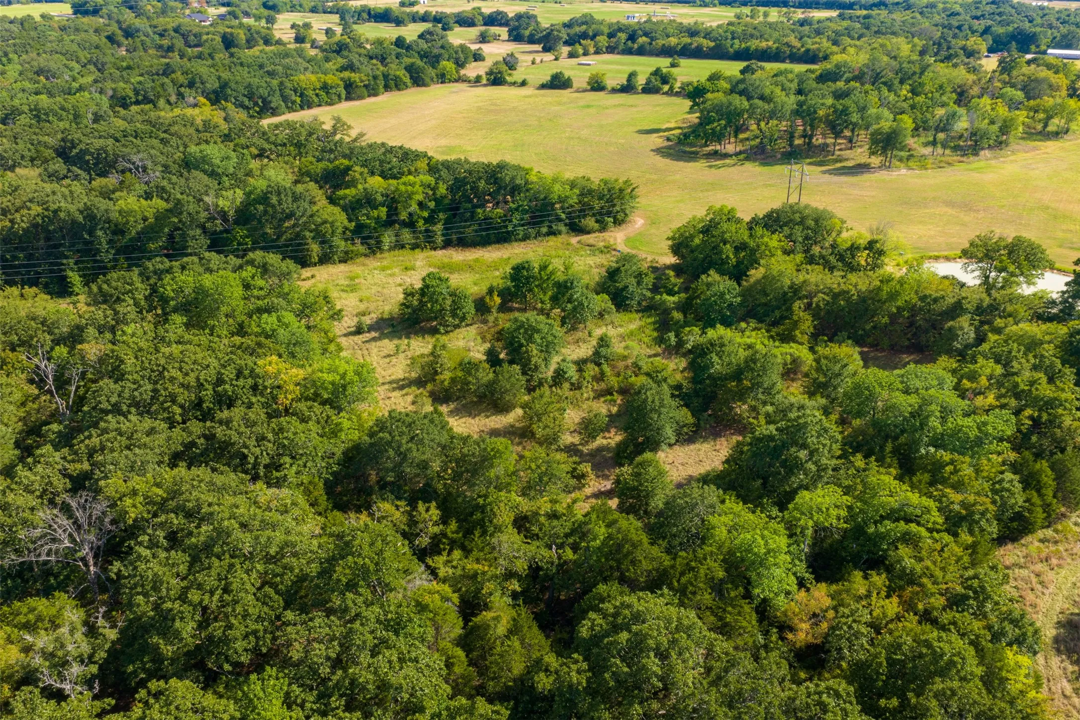 Unimproved Land For Sale in Van Zandt County , 10446 Fm 859, Edgewood, Texas 75117, 0, 0, Garage spaces, 0 Sqft, built in 0, Price $935,000, mls#21358253, Real Estate Agent in Edgewood, Homes For Sale in Van Zandt county, Homes For Sale in Edgewood, Realtor in Edgewood Texas, Real Estate Brokerage Independent Realty Texas, Luminita Cordes Realtor