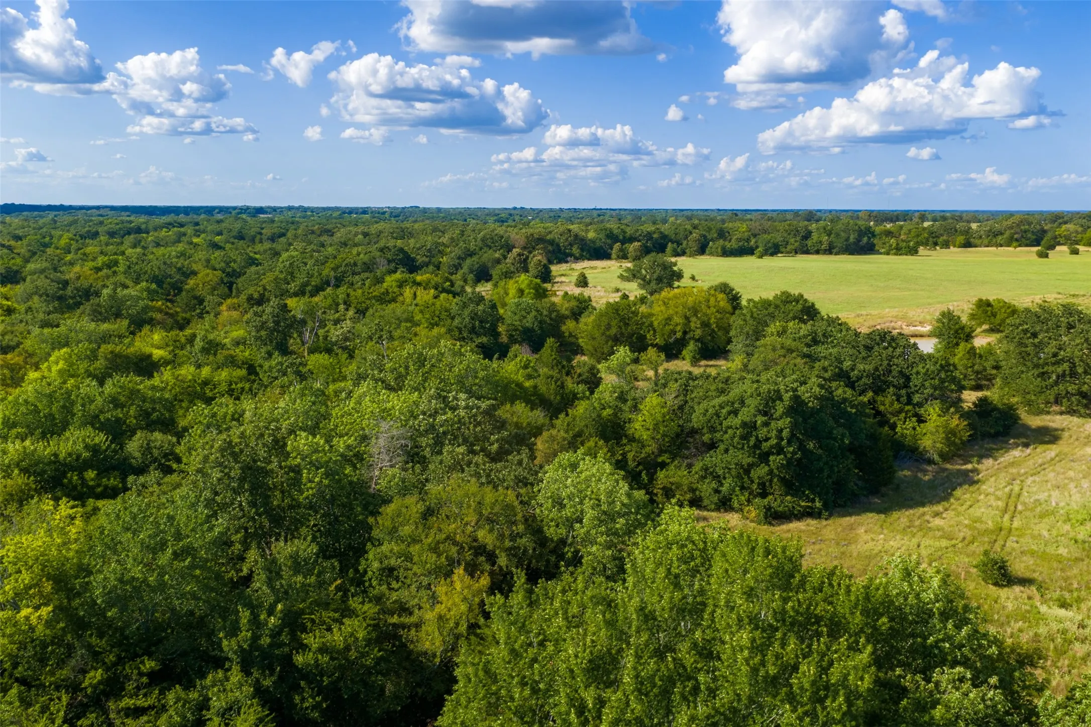 Unimproved Land For Sale in Van Zandt County , 10446 Fm 859, Edgewood, Texas 75117, 0, 0, Garage spaces, 0 Sqft, built in 0, Price $935,000, mls#21358253, Real Estate Agent in Edgewood, Homes For Sale in Van Zandt county, Homes For Sale in Edgewood, Realtor in Edgewood Texas, Real Estate Brokerage Independent Realty Texas, Luminita Cordes Realtor