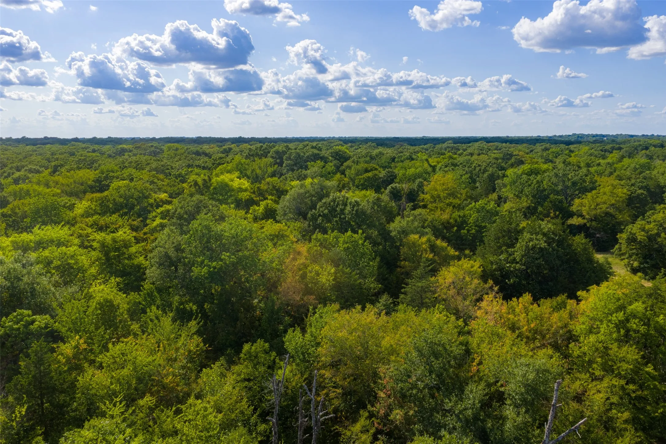 Unimproved Land For Sale in Van Zandt County , 10446 Fm 859, Edgewood, Texas 75117, 0, 0, Garage spaces, 0 Sqft, built in 0, Price $935,000, mls#21358253, Real Estate Agent in Edgewood, Homes For Sale in Van Zandt county, Homes For Sale in Edgewood, Realtor in Edgewood Texas, Real Estate Brokerage Independent Realty Texas, Luminita Cordes Realtor