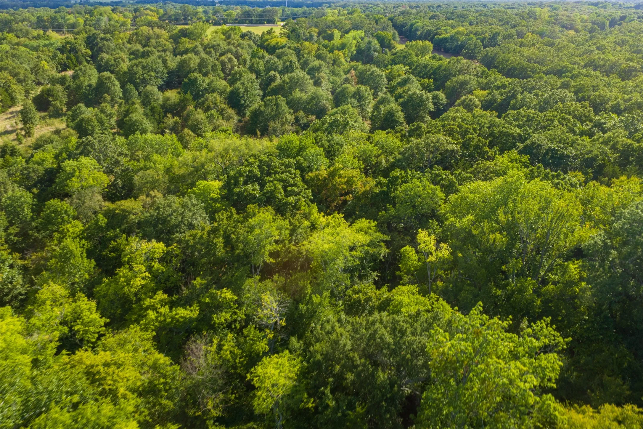 Unimproved Land For Sale in Van Zandt County , 10446 Fm 859, Edgewood, Texas 75117, 0, 0, Garage spaces, 0 Sqft, built in 0, Price $935,000, mls#21358253, Real Estate Agent in Edgewood, Homes For Sale in Van Zandt county, Homes For Sale in Edgewood, Realtor in Edgewood Texas, Real Estate Brokerage Independent Realty Texas, Luminita Cordes Realtor