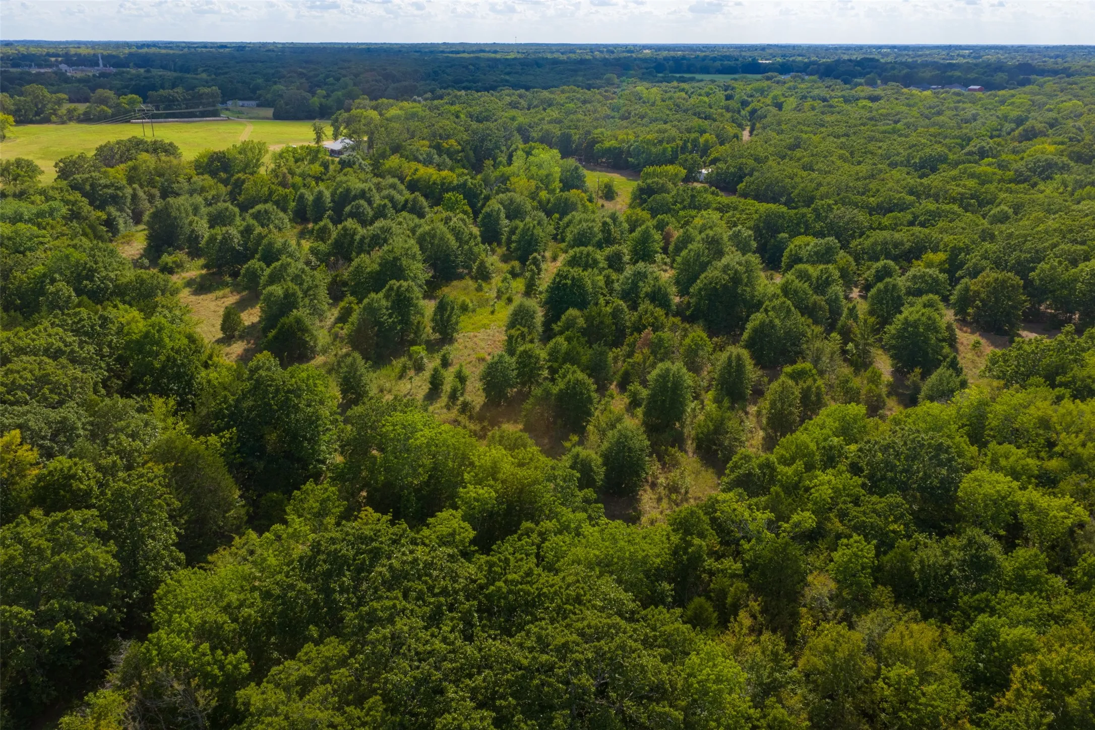 Unimproved Land For Sale in Van Zandt County , 10446 Fm 859, Edgewood, Texas 75117, 0, 0, Garage spaces, 0 Sqft, built in 0, Price $935,000, mls#21358253, Real Estate Agent in Edgewood, Homes For Sale in Van Zandt county, Homes For Sale in Edgewood, Realtor in Edgewood Texas, Real Estate Brokerage Independent Realty Texas, Luminita Cordes Realtor