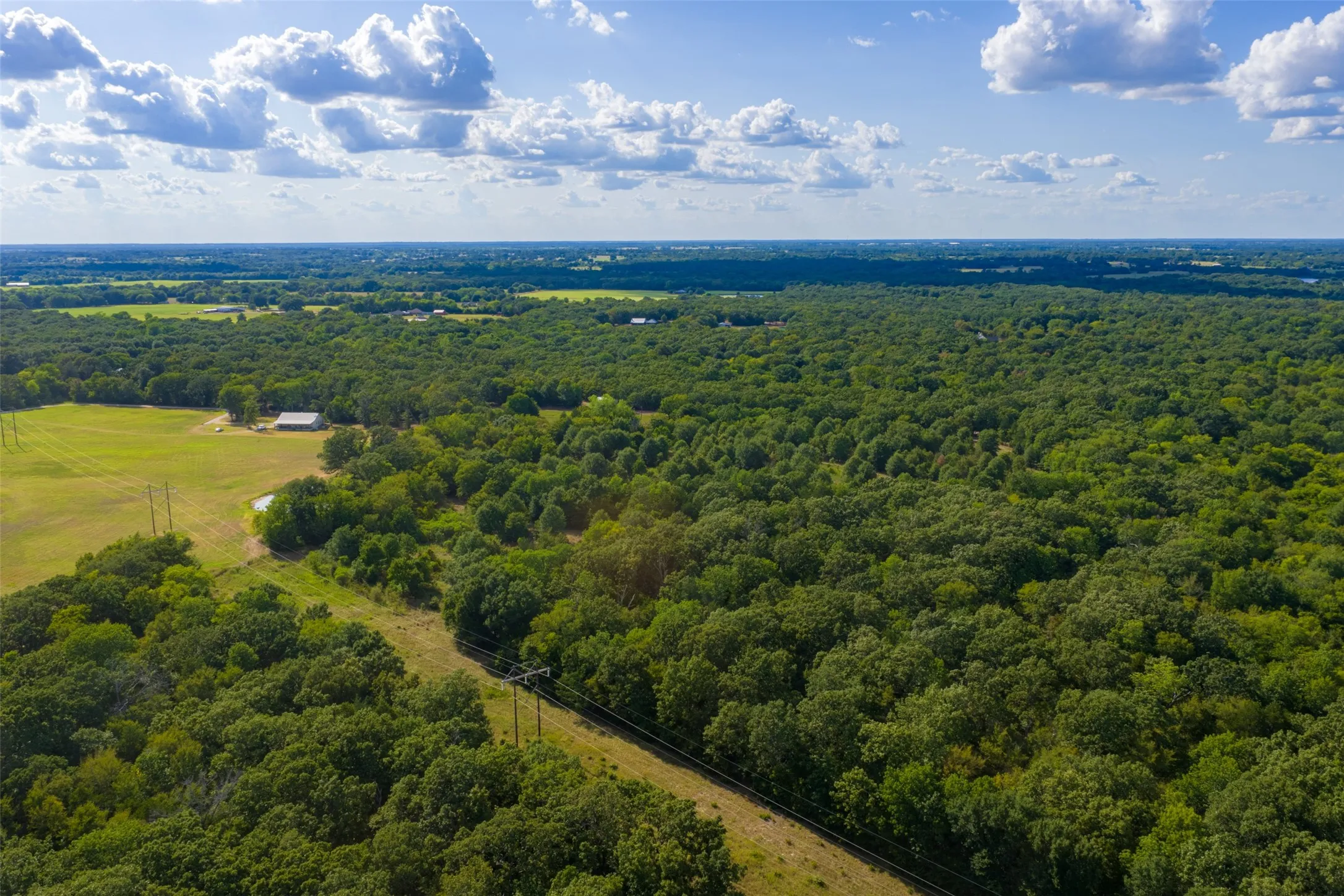 Unimproved Land For Sale in Van Zandt County , 10446 Fm 859, Edgewood, Texas 75117, 0, 0, Garage spaces, 0 Sqft, built in 0, Price $935,000, mls#21358253, Real Estate Agent in Edgewood, Homes For Sale in Van Zandt county, Homes For Sale in Edgewood, Realtor in Edgewood Texas, Real Estate Brokerage Independent Realty Texas, Luminita Cordes Realtor