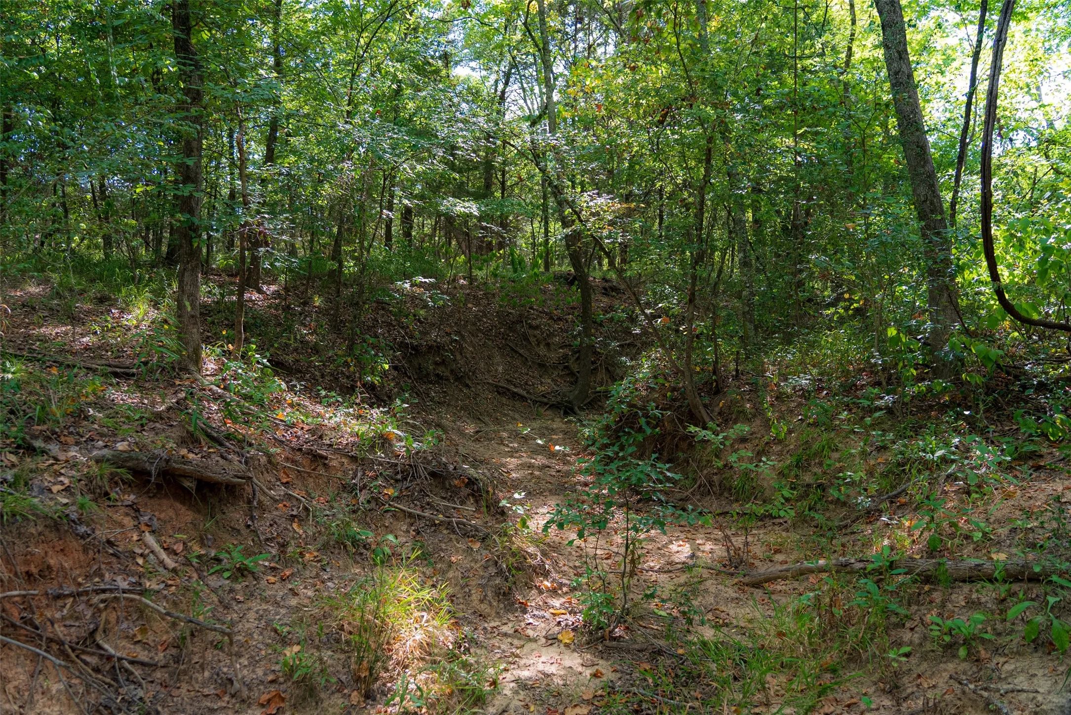 Unimproved Land For Sale in Van Zandt County , 10446 Fm 859, Edgewood, Texas 75117, 0, 0, Garage spaces, 0 Sqft, built in 0, Price $935,000, mls#21358253, Real Estate Agent in Edgewood, Homes For Sale in Van Zandt county, Homes For Sale in Edgewood, Realtor in Edgewood Texas, Real Estate Brokerage Independent Realty Texas, Luminita Cordes Realtor