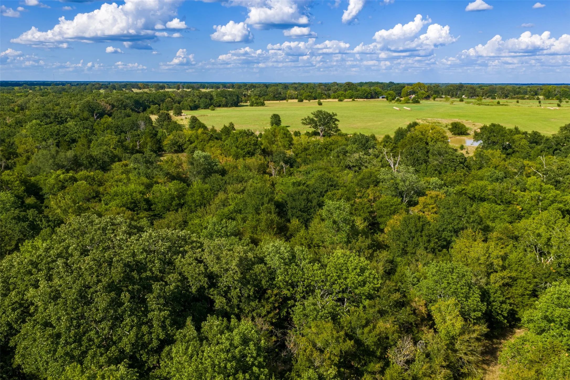 Unimproved Land For Sale in Van Zandt County , 10446 Fm 859, Edgewood, Texas 75117, 0, 0, Garage spaces, 0 Sqft, built in 0, Price $935,000, mls#21358253, Real Estate Agent in Edgewood, Homes For Sale in Van Zandt county, Homes For Sale in Edgewood, Realtor in Edgewood Texas, Real Estate Brokerage Independent Realty Texas, Luminita Cordes Realtor