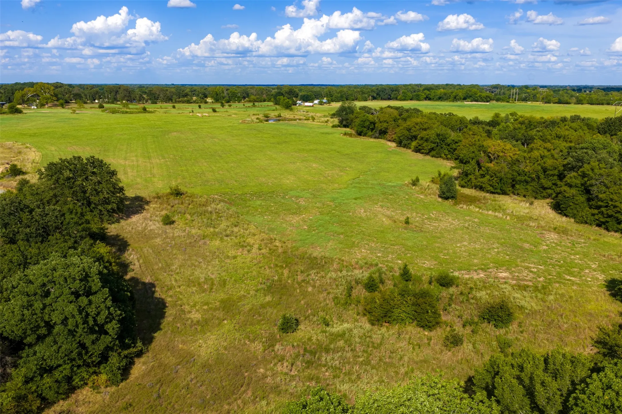 Unimproved Land For Sale in Van Zandt County , 10446 Fm 859, Edgewood, Texas 75117, 0, 0, Garage spaces, 0 Sqft, built in 0, Price $935,000, mls#21358253, Real Estate Agent in Edgewood, Homes For Sale in Van Zandt county, Homes For Sale in Edgewood, Realtor in Edgewood Texas, Real Estate Brokerage Independent Realty Texas, Luminita Cordes Realtor