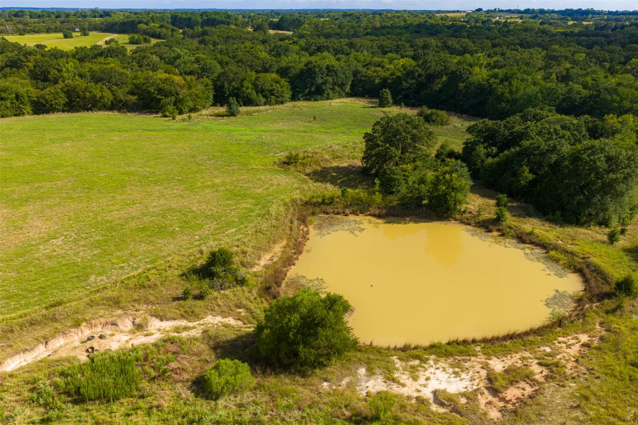 Unimproved Land For Sale in Van Zandt County , 10446 Fm 859, Edgewood, Texas 75117, 0, 0, Garage spaces, 0 Sqft, built in 0, Price $935,000, mls#21358253, Real Estate Agent in Edgewood, Homes For Sale in Van Zandt county, Homes For Sale in Edgewood, Realtor in Edgewood Texas, Real Estate Brokerage Independent Realty Texas, Luminita Cordes Realtor