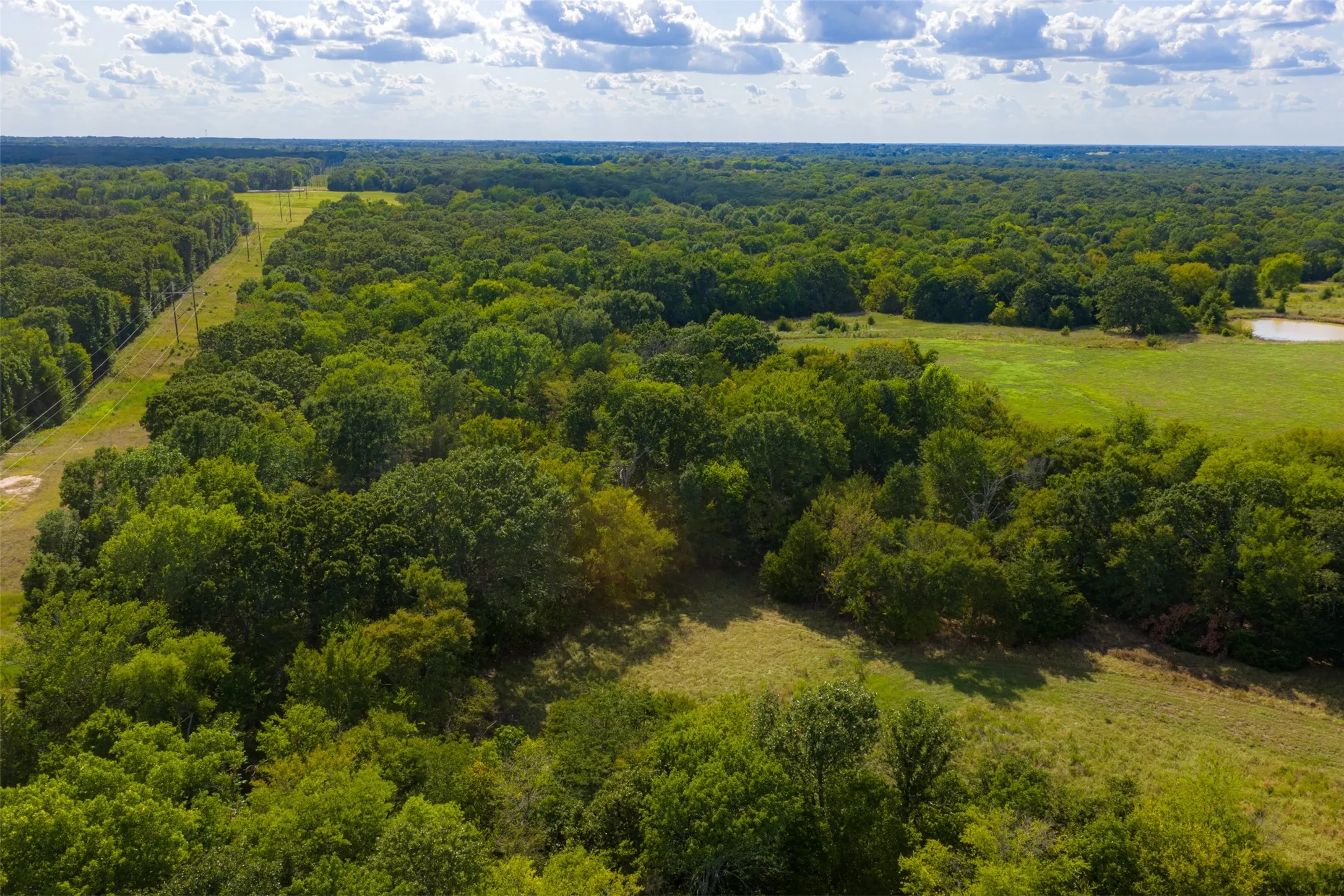 Unimproved Land For Sale in Van Zandt County , 10446 Fm 859, Edgewood, Texas 75117, 0, 0, Garage spaces, 0 Sqft, built in 0, Price $935,000, mls#21358253, Real Estate Agent in Edgewood, Homes For Sale in Van Zandt county, Homes For Sale in Edgewood, Realtor in Edgewood Texas, Real Estate Brokerage Independent Realty Texas, Luminita Cordes Realtor