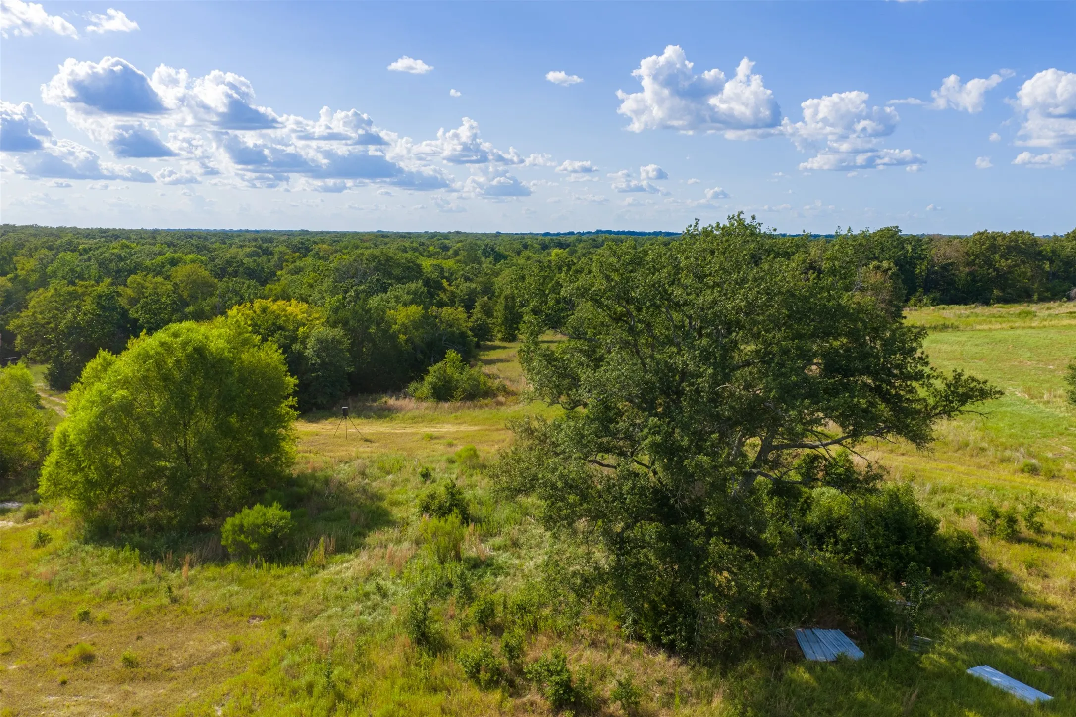 Unimproved Land For Sale in Van Zandt County , 10446 Fm 859, Edgewood, Texas 75117, 0, 0, Garage spaces, 0 Sqft, built in 0, Price $935,000, mls#21358253, Real Estate Agent in Edgewood, Homes For Sale in Van Zandt county, Homes For Sale in Edgewood, Realtor in Edgewood Texas, Real Estate Brokerage Independent Realty Texas, Luminita Cordes Realtor
