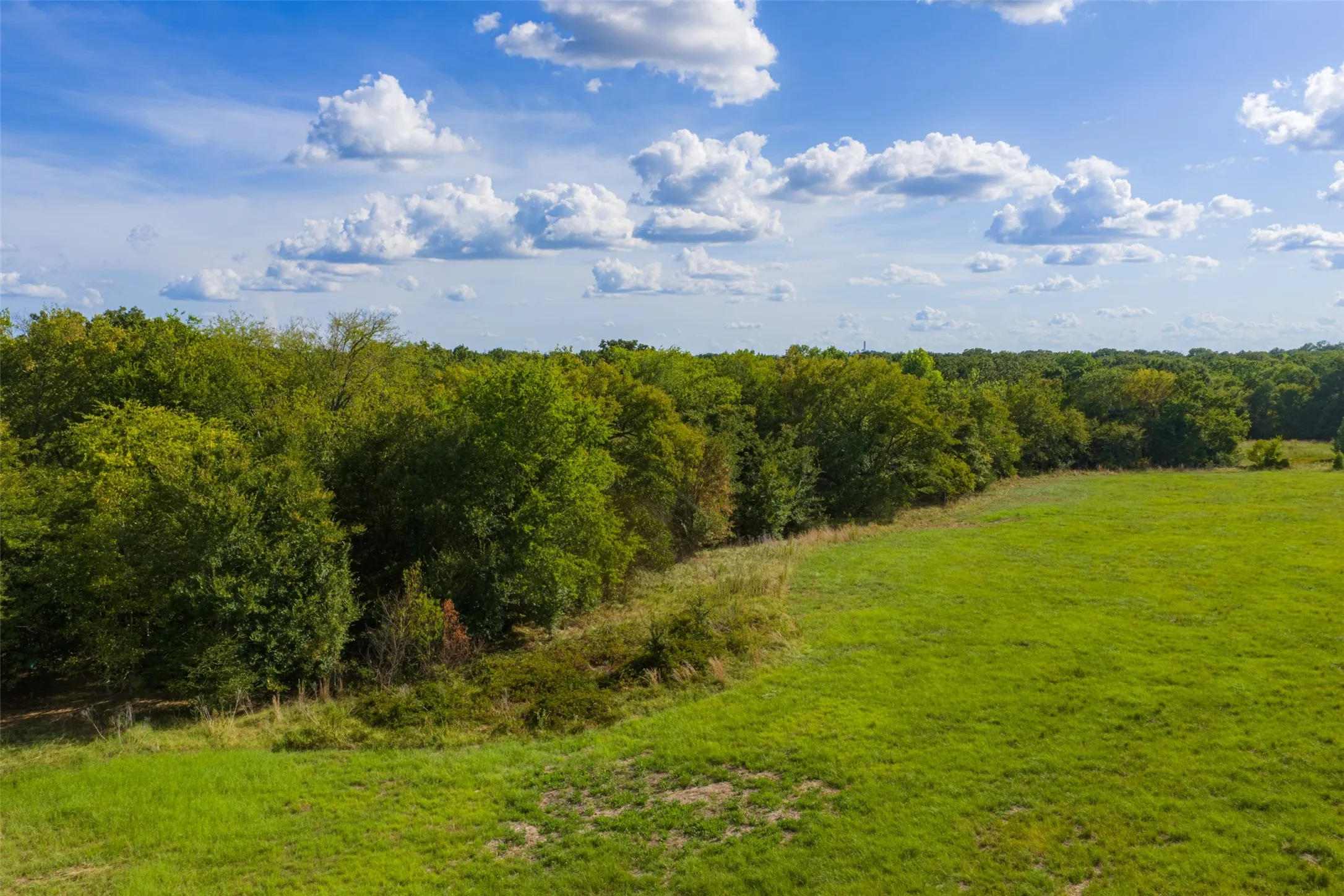 Unimproved Land For Sale in Van Zandt County , 10446 Fm 859, Edgewood, Texas 75117, 0, 0, Garage spaces, 0 Sqft, built in 0, Price $935,000, mls#21358253, Real Estate Agent in Edgewood, Homes For Sale in Van Zandt county, Homes For Sale in Edgewood, Realtor in Edgewood Texas, Real Estate Brokerage Independent Realty Texas, Luminita Cordes Realtor
