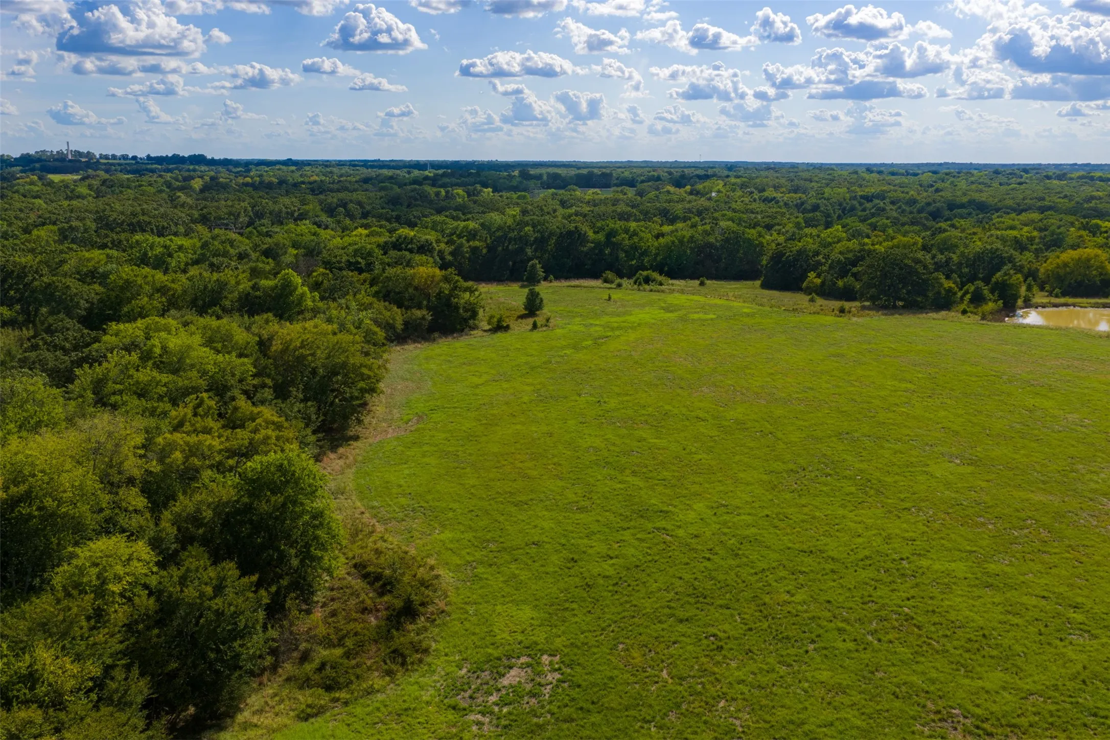 Unimproved Land For Sale in Van Zandt County , 10446 Fm 859, Edgewood, Texas 75117, 0, 0, Garage spaces, 0 Sqft, built in 0, Price $935,000, mls#21358253, Real Estate Agent in Edgewood, Homes For Sale in Van Zandt county, Homes For Sale in Edgewood, Realtor in Edgewood Texas, Real Estate Brokerage Independent Realty Texas, Luminita Cordes Realtor