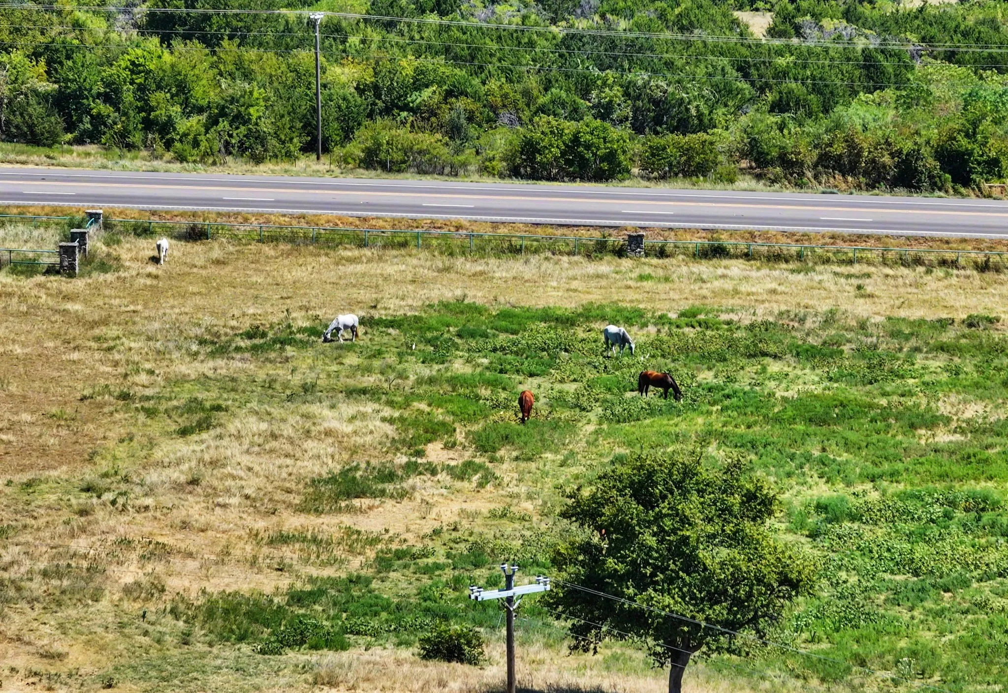 Ranch For Sale in Bosque County , TBD TX-6, Meridian, Texas 76665, 0, 0, Garage spaces, 0 Sqft, built in 1999, mls#21357972, Real Estate Agent in Meridian, Homes For Sale in Bosque county, Homes For Sale in Meridian, Realtor in Meridian Texas, Real Estate Brokerage Independent Realty Texas, Luminita Cordes Realtor