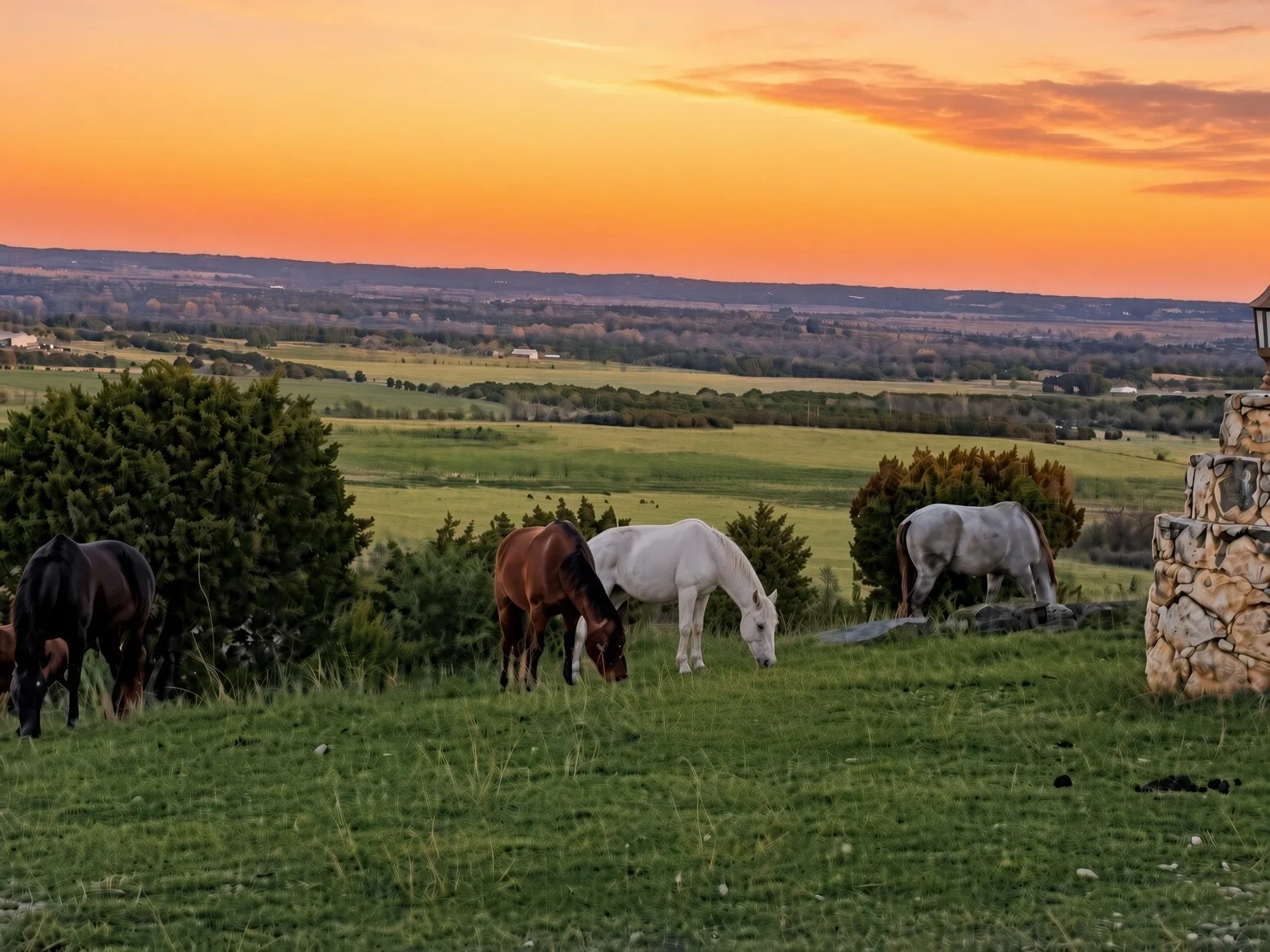Ranch For Sale in Bosque County , TBD TX-6, Meridian, Texas 76665, 0, 0, Garage spaces, 0 Sqft, built in 1999, mls#21357972, Real Estate Agent in Meridian, Homes For Sale in Bosque county, Homes For Sale in Meridian, Realtor in Meridian Texas, Real Estate Brokerage Independent Realty Texas, Luminita Cordes Realtor