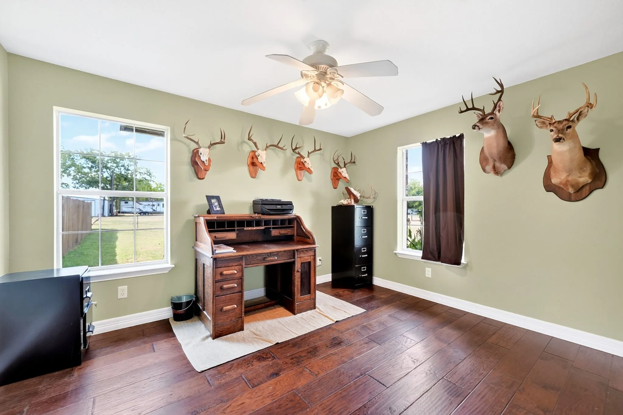 Wood-finish flooring, white ceiling fan with light fixture, dual windows, and light green wall finish