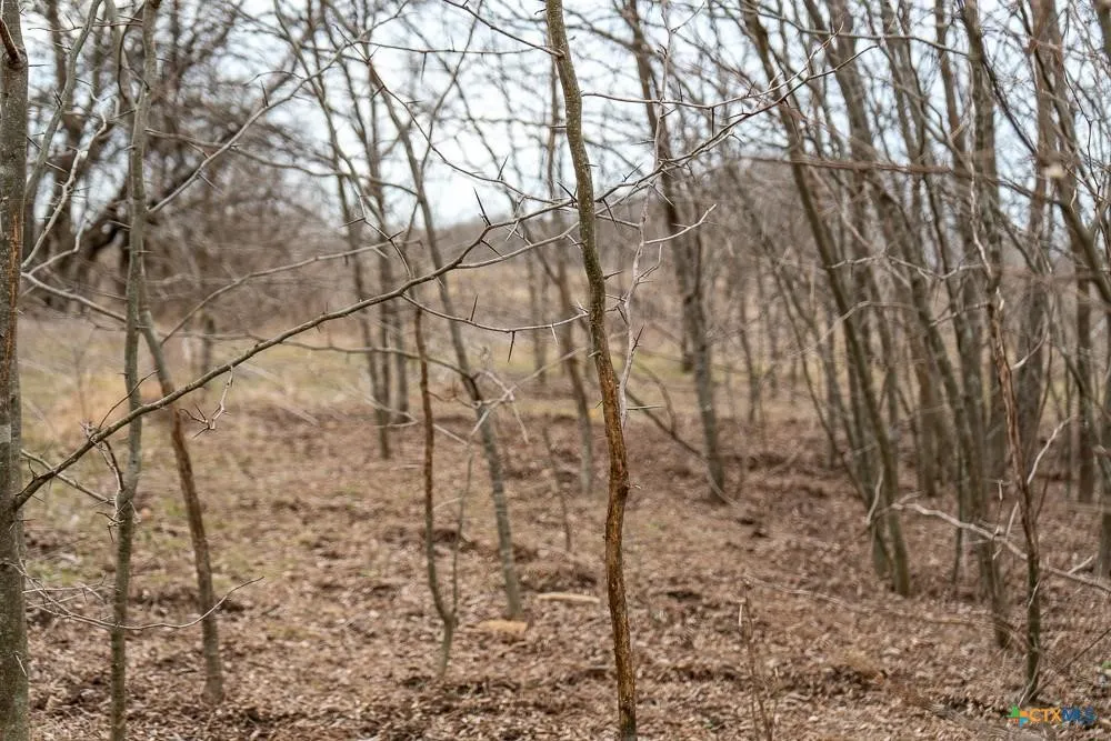 Unimproved Land For Sale in Bell County , 000 MCLENNAN Road, Troy, Texas 76579, 0, 0, Garage spaces, 0 Sqft, built in 0, Price $420,000, mls#21358321, Real Estate Agent in Troy, Homes For Sale in Bell county, Homes For Sale in Troy, Realtor in Troy Texas, Real Estate Brokerage Independent Realty Texas, Luminita Cordes Realtor