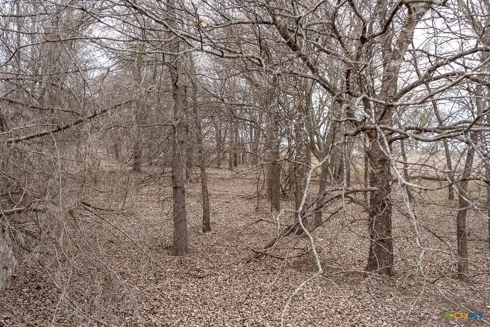 Unimproved Land For Sale in Bell County , 000 MCLENNAN Road, Troy, Texas 76579, 0, 0, Garage spaces, 0 Sqft, built in 0, Price $420,000, mls#21358321, Real Estate Agent in Troy, Homes For Sale in Bell county, Homes For Sale in Troy, Realtor in Troy Texas, Real Estate Brokerage Independent Realty Texas, Luminita Cordes Realtor