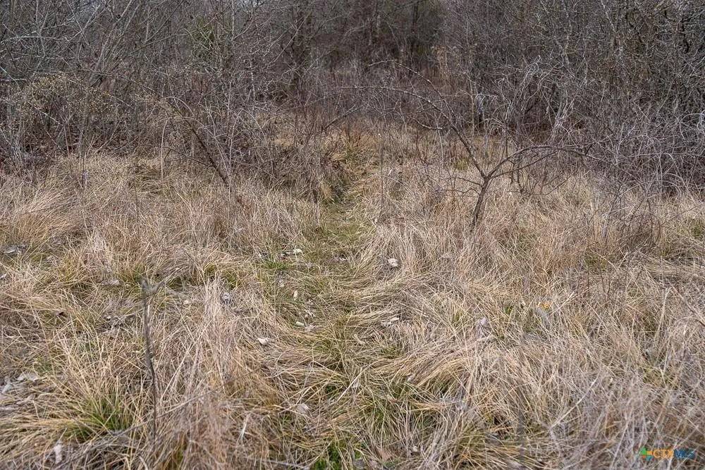 Unimproved Land For Sale in Bell County , 000 MCLENNAN Road, Troy, Texas 76579, 0, 0, Garage spaces, 0 Sqft, built in 0, Price $420,000, mls#21358321, Real Estate Agent in Troy, Homes For Sale in Bell county, Homes For Sale in Troy, Realtor in Troy Texas, Real Estate Brokerage Independent Realty Texas, Luminita Cordes Realtor