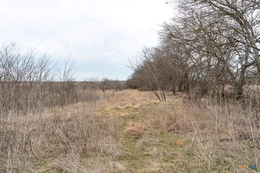 Unimproved Land For Sale in Bell County , 000 MCLENNAN Road, Troy, Texas 76579, 0, 0, Garage spaces, 0 Sqft, built in 0, Price $420,000, mls#21358321, Real Estate Agent in Troy, Homes For Sale in Bell county, Homes For Sale in Troy, Realtor in Troy Texas, Real Estate Brokerage Independent Realty Texas, Luminita Cordes Realtor