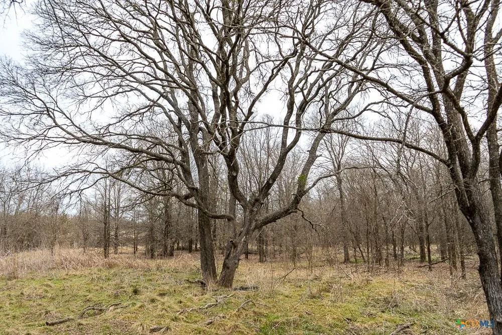Unimproved Land For Sale in Bell County , 000 MCLENNAN Road, Troy, Texas 76579, 0, 0, Garage spaces, 0 Sqft, built in 0, Price $420,000, mls#21358321, Real Estate Agent in Troy, Homes For Sale in Bell county, Homes For Sale in Troy, Realtor in Troy Texas, Real Estate Brokerage Independent Realty Texas, Luminita Cordes Realtor