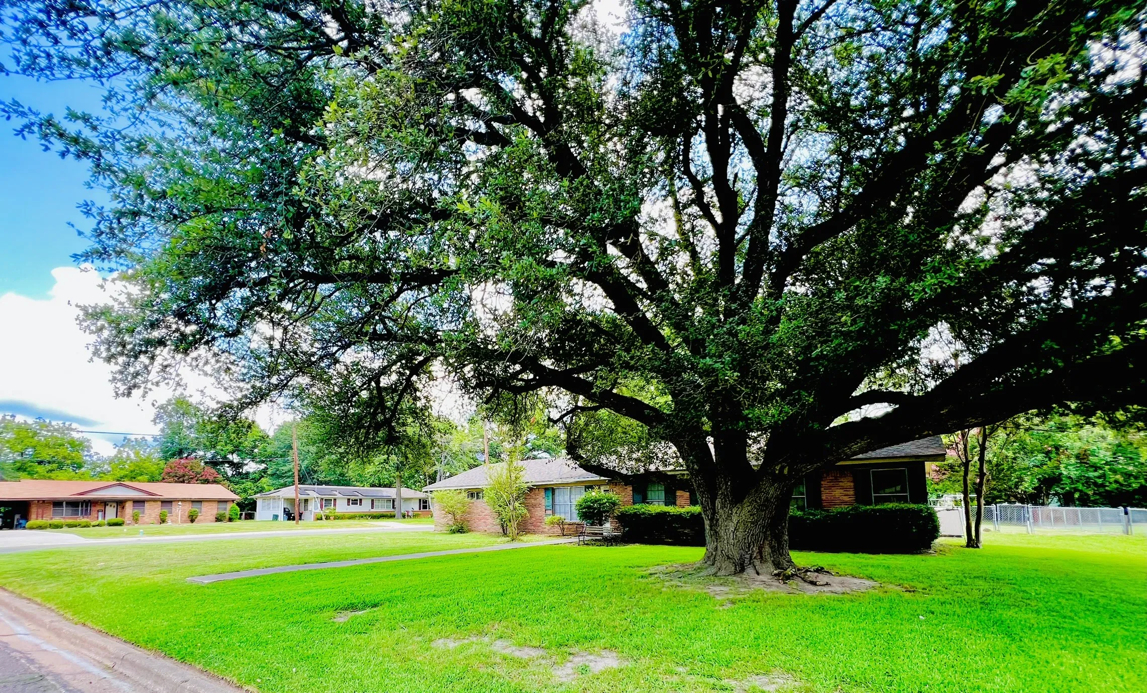 Single Family Residence For Sale in Hopkins County , 114 Harred Street, Sulphur Springs, Texas 75482, 3 Bedroom, 2 Bathroom, 2 Garage spaces, 1,650 Sqft, built in 1958, mls#21349852, Real Estate Agent in Sulphur Springs, Homes For Sale in Hopkins county, Homes For Sale in Sulphur Springs, Realtor in Sulphur Springs Texas, Real Estate Brokerage Independent Realty Texas, Luminita Cordes Realtor