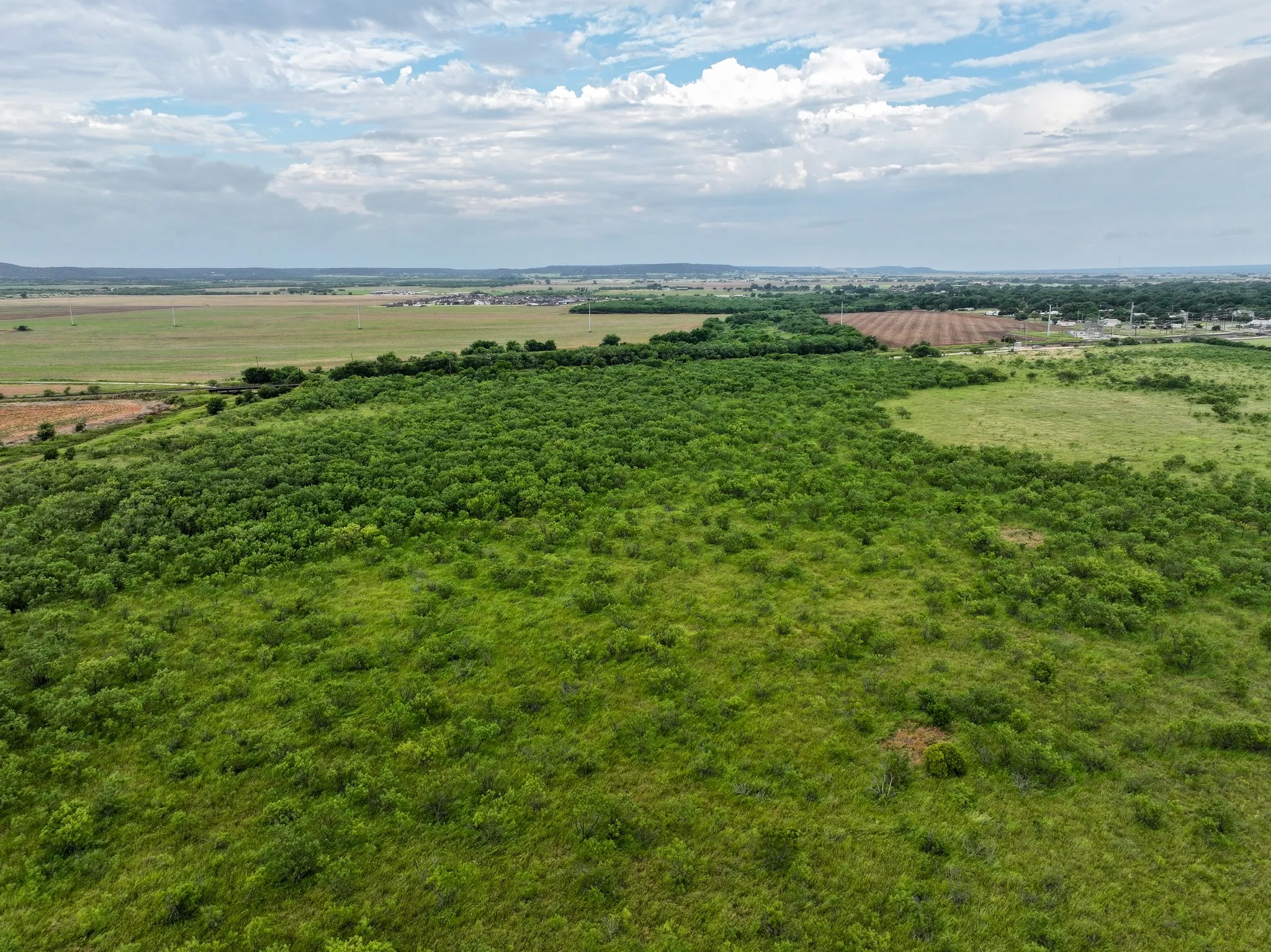 Unimproved Land For Sale in Taylor County , 147 Porcupine Trail, Tuscola, Texas 79562, 0, 0, Garage spaces, 0 Sqft, built in 0, mls#21358343, Real Estate Agent in Tuscola, Homes For Sale in Taylor county, Homes For Sale in Tuscola, Realtor in Tuscola Texas, Real Estate Brokerage Independent Realty Texas, Luminita Cordes Realtor