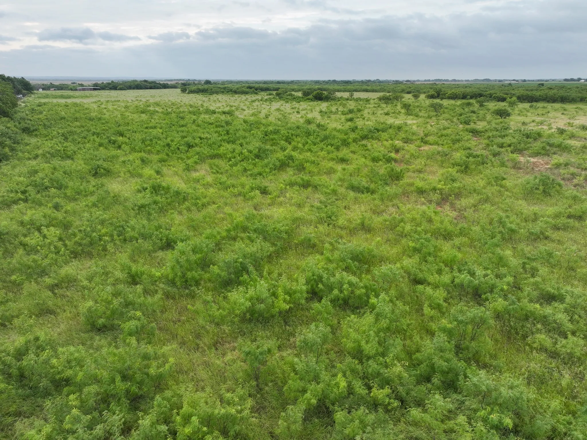 Unimproved Land For Sale in Taylor County , 147 Porcupine Trail, Tuscola, Texas 79562, 0, 0, Garage spaces, 0 Sqft, built in 0, mls#21358343, Real Estate Agent in Tuscola, Homes For Sale in Taylor county, Homes For Sale in Tuscola, Realtor in Tuscola Texas, Real Estate Brokerage Independent Realty Texas, Luminita Cordes Realtor