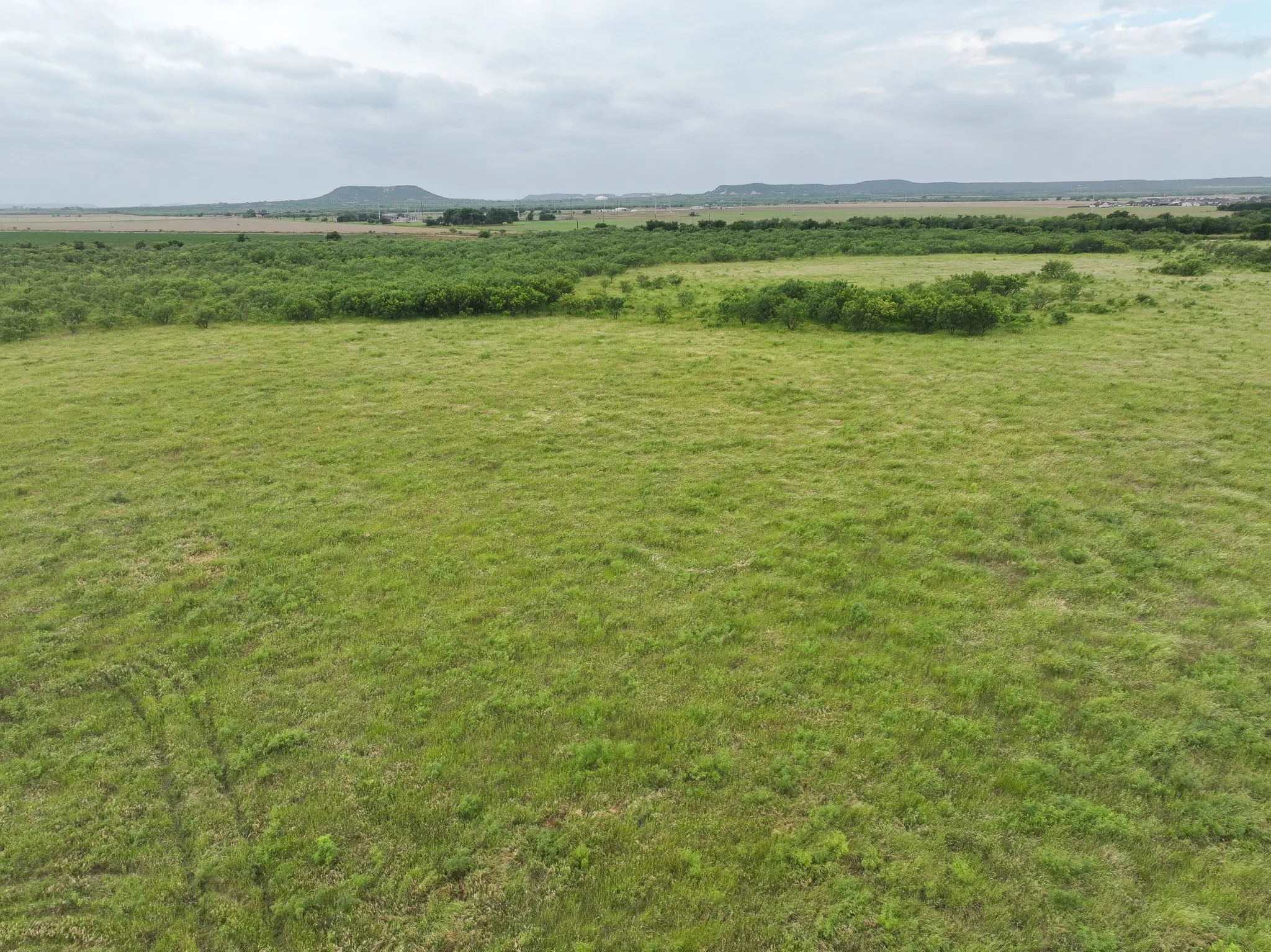 Unimproved Land For Sale in Taylor County , 136 Badger Den, Tuscola, Texas 79562, 0, 0, Garage spaces, 0 Sqft, built in 0, mls#21358357, Real Estate Agent in Tuscola, Homes For Sale in Taylor county, Homes For Sale in Tuscola, Realtor in Tuscola Texas, Real Estate Brokerage Independent Realty Texas, Luminita Cordes Realtor
