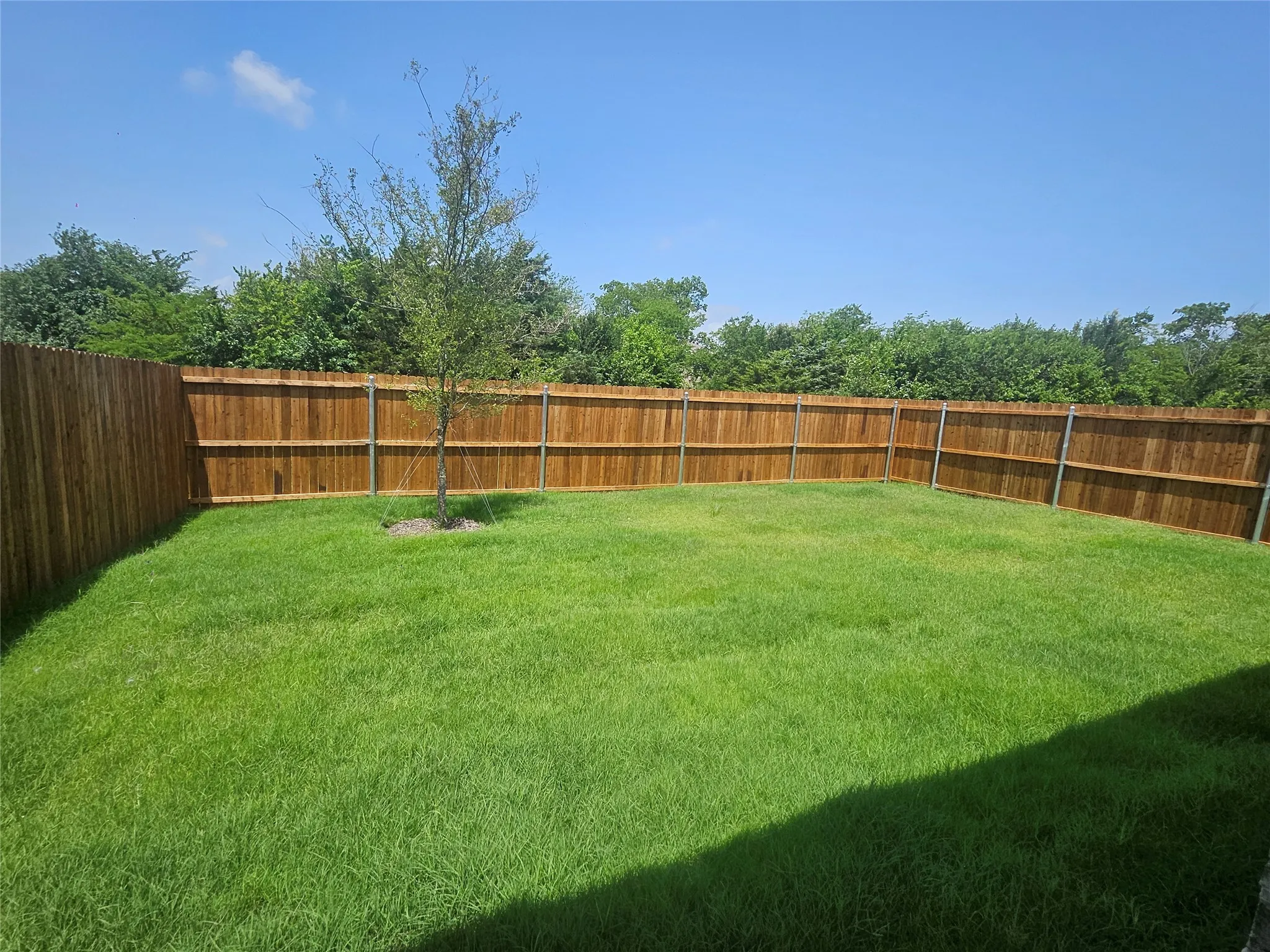 Expansive fenced yard with mature landscaping and clear sky backdrop
