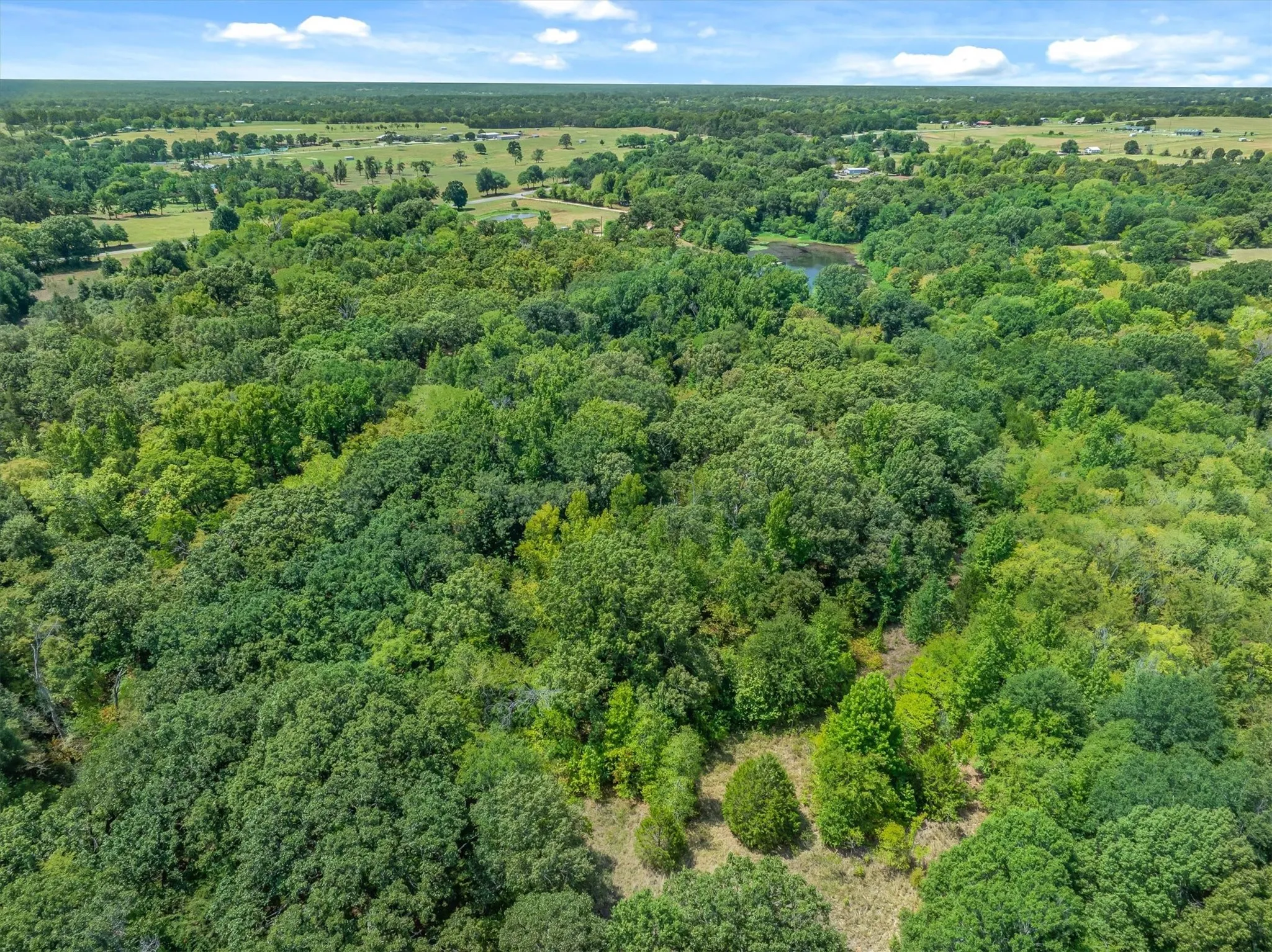 Farm For Sale in Van Zandt County , 8086 FM 17, Grand Saline, Texas 75140, 2 Bedroom, 1 Bathroom, Garage spaces, 920 Sqft, built in 1962, Price $360,000, mls#21358410, Real Estate Agent in Grand Saline, Homes For Sale in Van Zandt county, Homes For Sale in Grand Saline, Realtor in Grand Saline Texas, Real Estate Brokerage Independent Realty Texas, Luminita Cordes Realtor