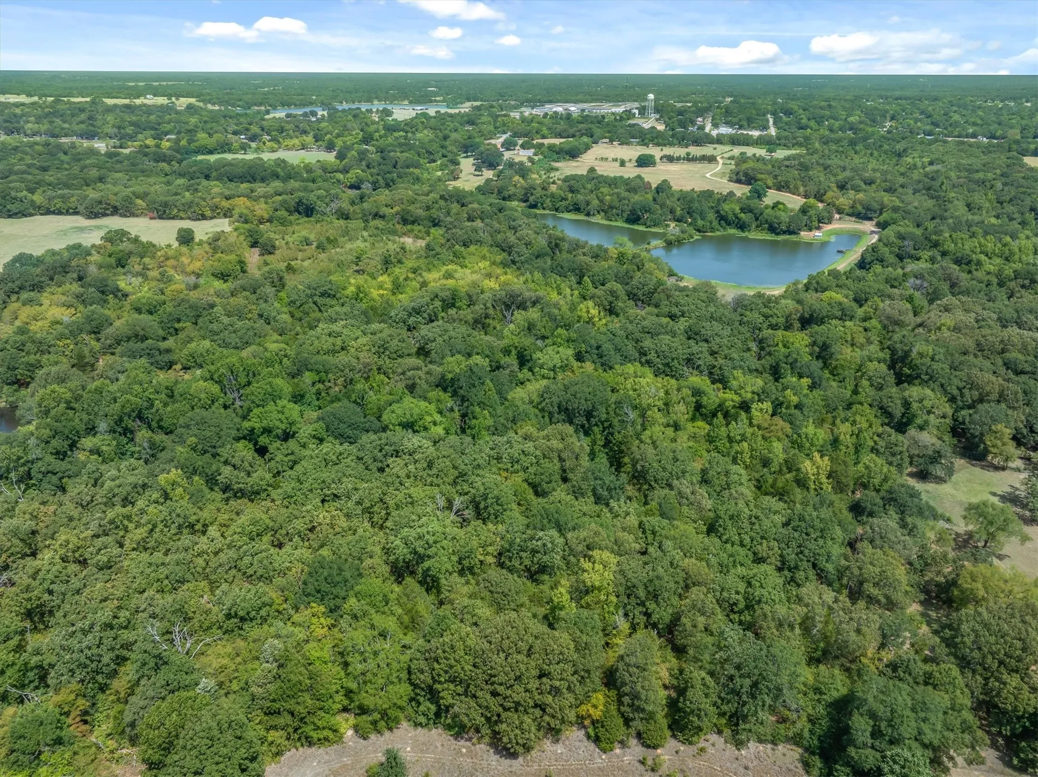 Farm For Sale in Van Zandt County , 8086 FM 17, Grand Saline, Texas 75140, 2 Bedroom, 1 Bathroom, Garage spaces, 920 Sqft, built in 1962, Price $360,000, mls#21358410, Real Estate Agent in Grand Saline, Homes For Sale in Van Zandt county, Homes For Sale in Grand Saline, Realtor in Grand Saline Texas, Real Estate Brokerage Independent Realty Texas, Luminita Cordes Realtor