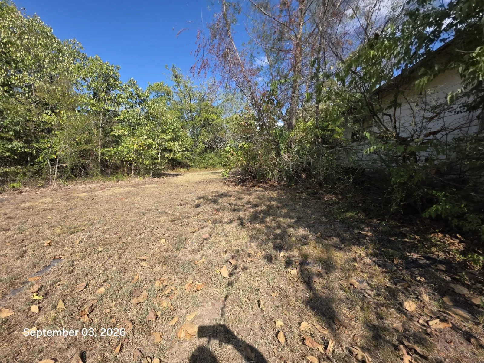 Single Family Residence For Sale in Titus County , 973 CR 1695, Mt Pleasant, Texas 75455, 3 Bedroom, 2 Bathroom, Garage spaces, 1,152 Sqft, built in 1981, mls#21357416, Real Estate Agent in Mt Pleasant, Homes For Sale in Titus county, Homes For Sale in Mt Pleasant, Realtor in Mt Pleasant Texas, Real Estate Brokerage Independent Realty Texas, Luminita Cordes Realtor