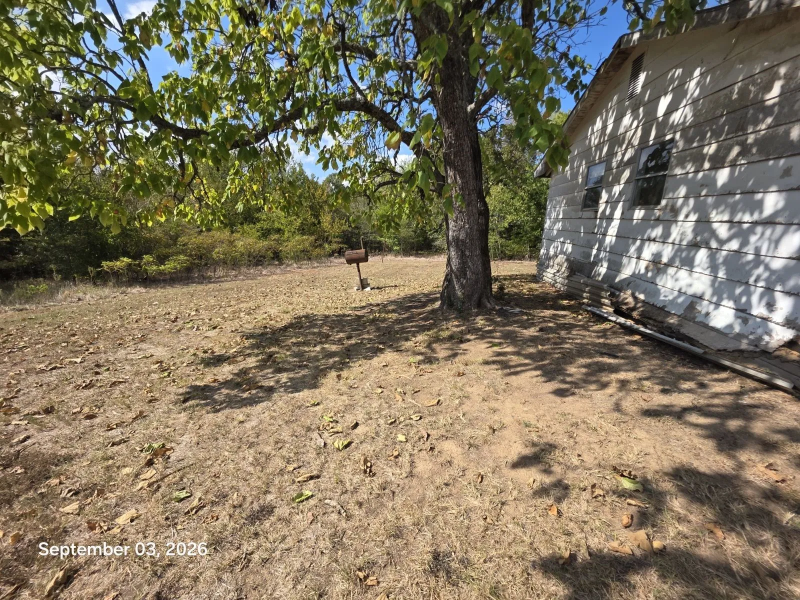 Single Family Residence For Sale in Titus County , 973 CR 1695, Mt Pleasant, Texas 75455, 3 Bedroom, 2 Bathroom, Garage spaces, 1,152 Sqft, built in 1981, mls#21357416, Real Estate Agent in Mt Pleasant, Homes For Sale in Titus county, Homes For Sale in Mt Pleasant, Realtor in Mt Pleasant Texas, Real Estate Brokerage Independent Realty Texas, Luminita Cordes Realtor