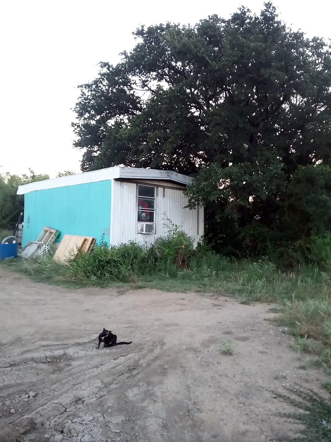 Single Family Residence For Sale in Brown County , 6932 Monaghan Drive, Brownwood, Texas 76801, 3 Bedroom, 1 Bathroom, Garage spaces, 576 Sqft, built in 2017, mls#21358453, Real Estate Agent in Brownwood, Homes For Sale in Brown county, Homes For Sale in Brownwood, Realtor in Brownwood Texas, Real Estate Brokerage Independent Realty Texas, Luminita Cordes Realtor