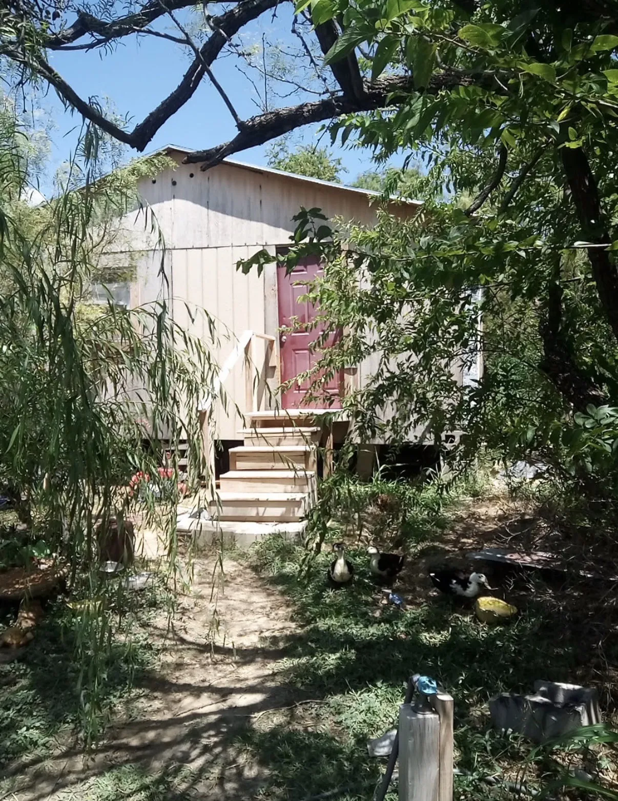 Single Family Residence For Sale in Brown County , 6932 Monaghan Drive, Brownwood, Texas 76801, 3 Bedroom, 1 Bathroom, Garage spaces, 576 Sqft, built in 2017, mls#21358453, Real Estate Agent in Brownwood, Homes For Sale in Brown county, Homes For Sale in Brownwood, Realtor in Brownwood Texas, Real Estate Brokerage Independent Realty Texas, Luminita Cordes Realtor