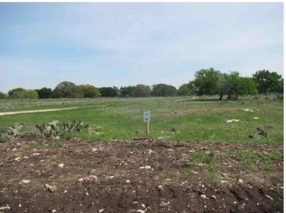 Unimproved Land For Sale in Coryell County , 310 Yellowstone Drive, Oglesby, Texas 76561, 0, 0, Garage spaces, 0 Sqft, built in 0, Price $150,000, mls#21355059, Real Estate Agent in Oglesby, Homes For Sale in Coryell county, Homes For Sale in Oglesby, Realtor in Oglesby Texas, Real Estate Brokerage Independent Realty Texas, Luminita Cordes Realtor
