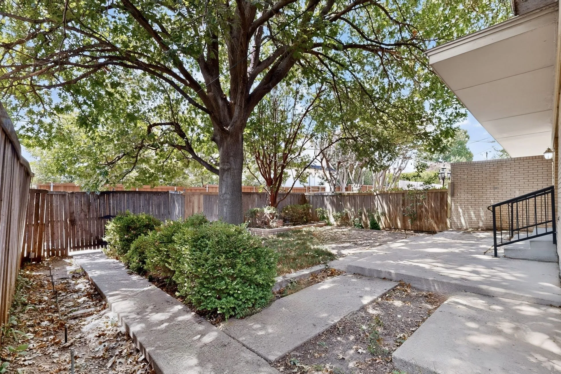 Expansive outdoor space featuring a mature shade tree, concrete patio, and privacy fencing