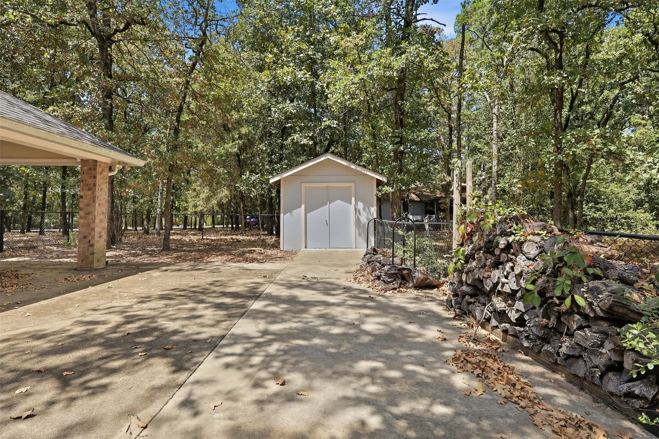 Back patio and shed