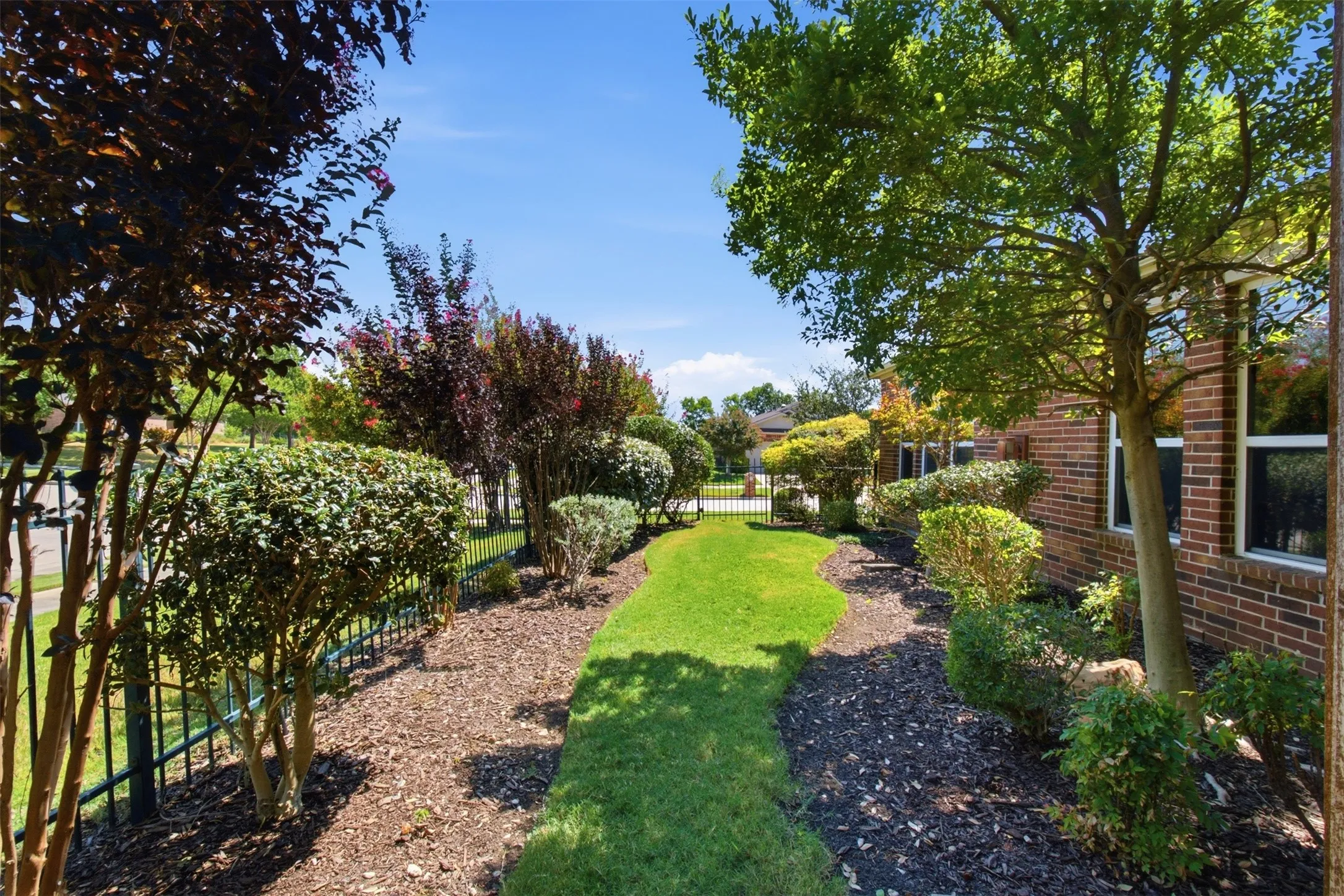 Side yard